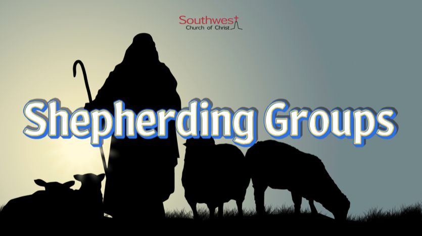 Shepherding Groups