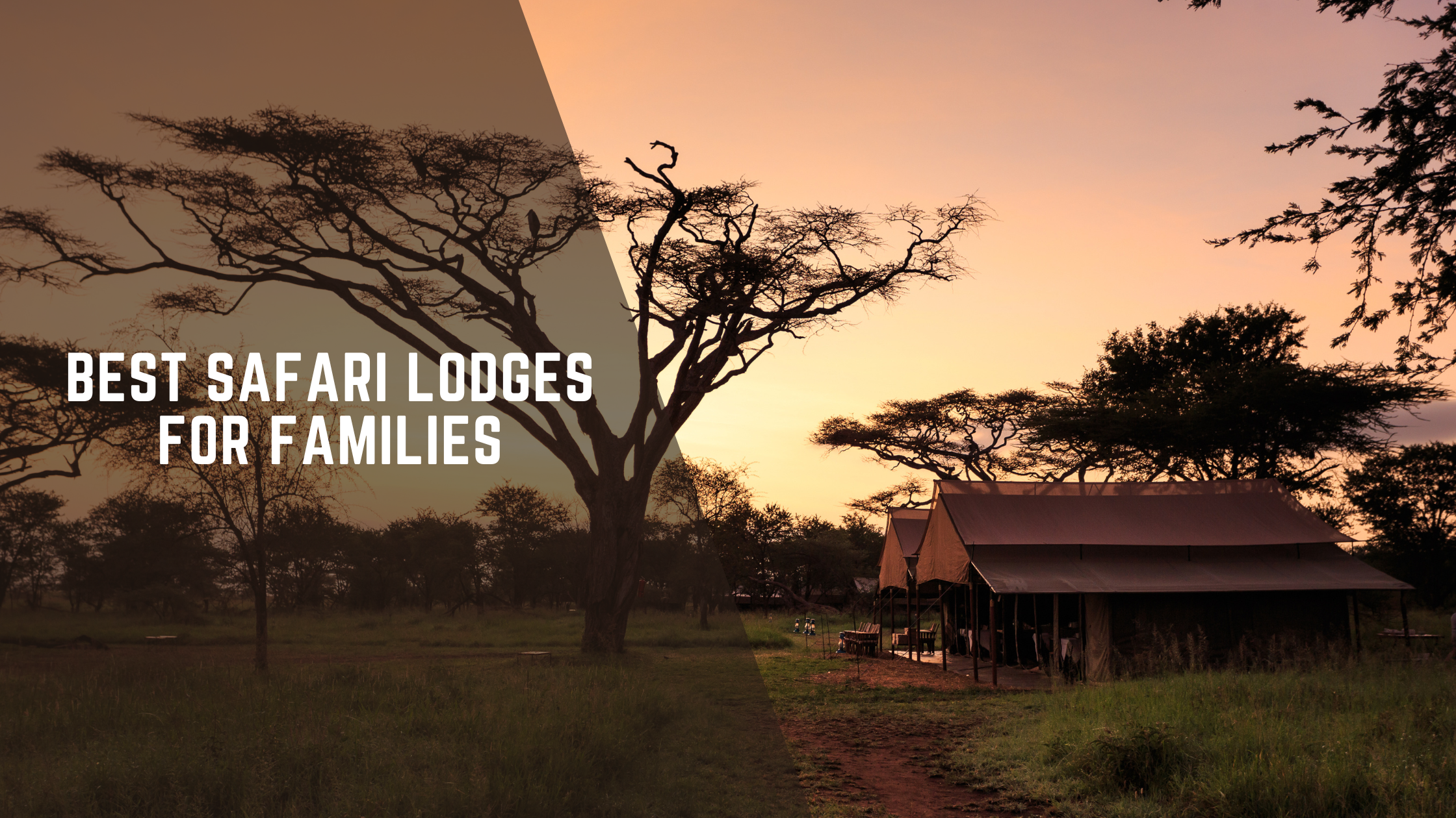 Best Safari Lodges for Families (That Don’t Feel Like Camps)
