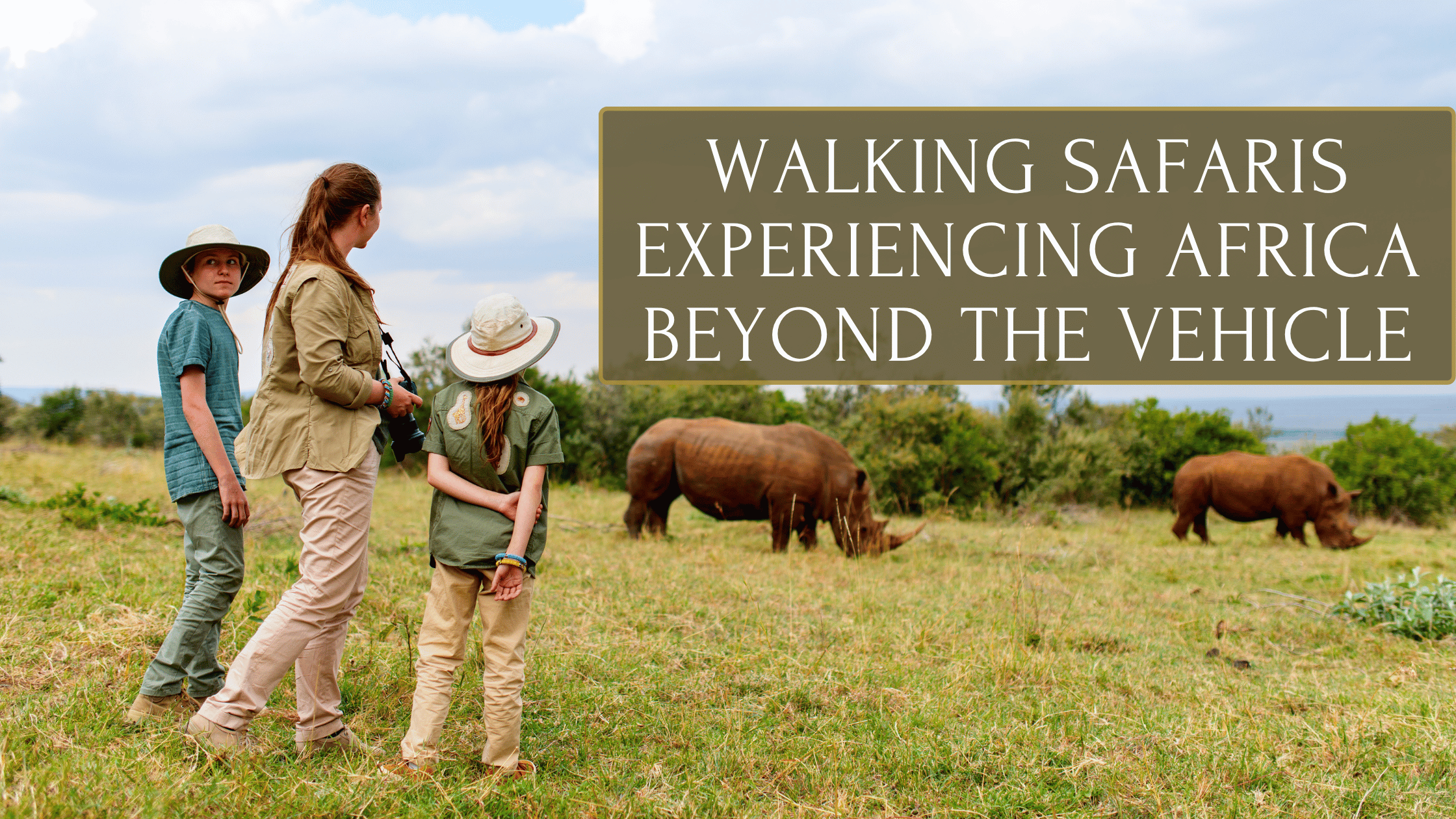 Walking Safaris: Experiencing Africa Beyond the Safari Vehicle