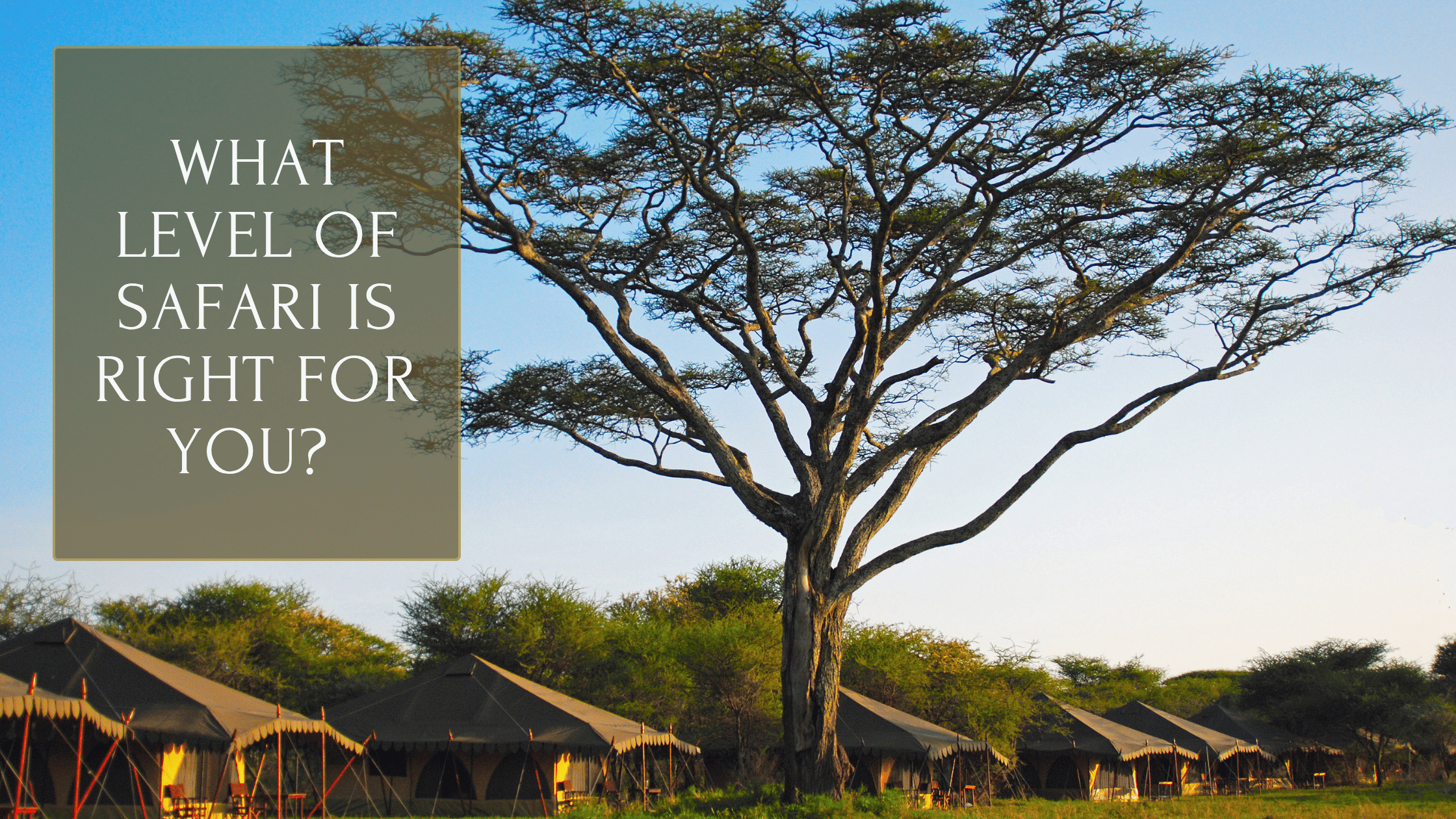 What Do Budget, Mid-Range, Luxury & Ultra-Luxury Actually Mean on Safari?