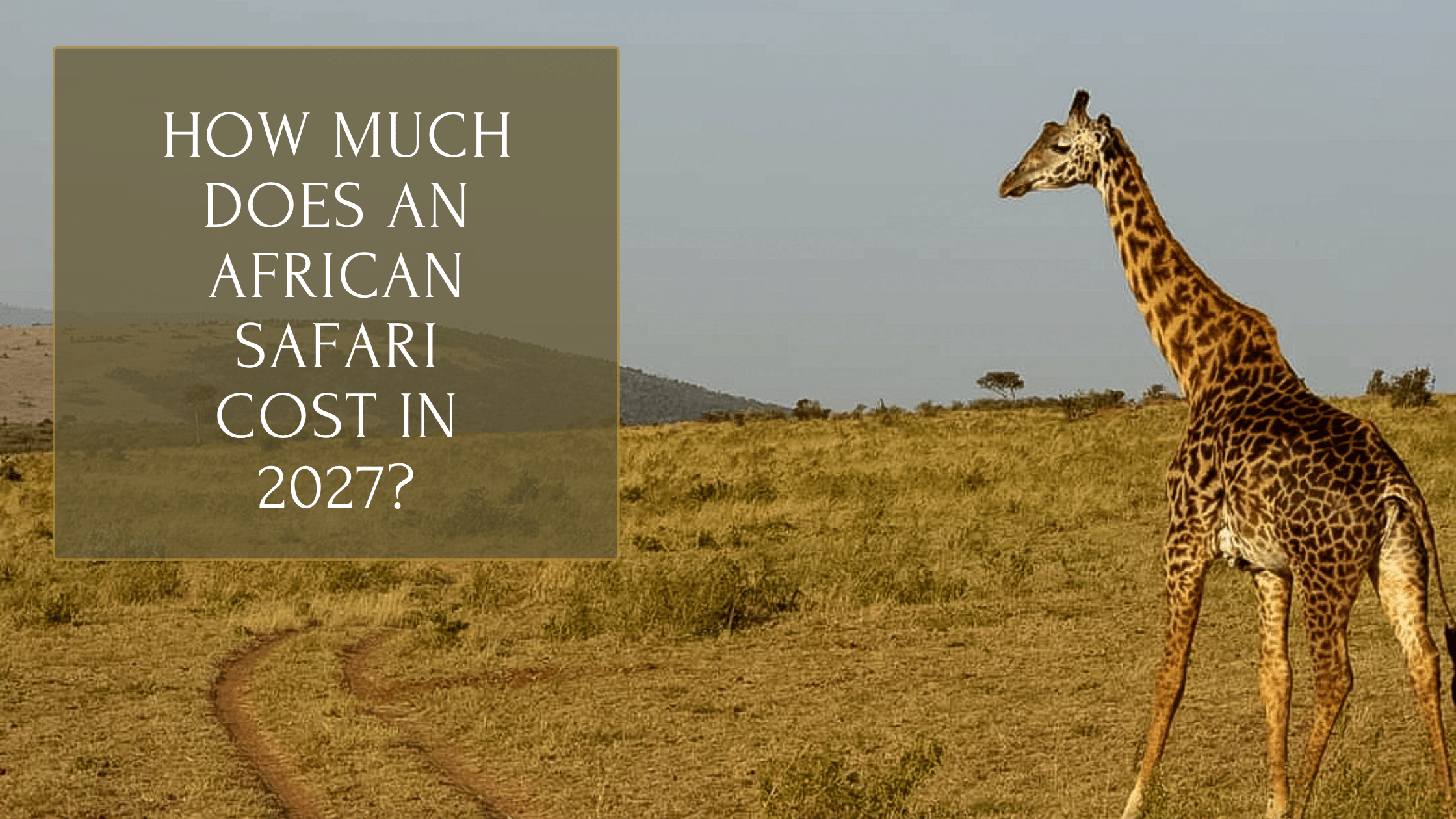 How Much Does an African Safari Cost in 2027?