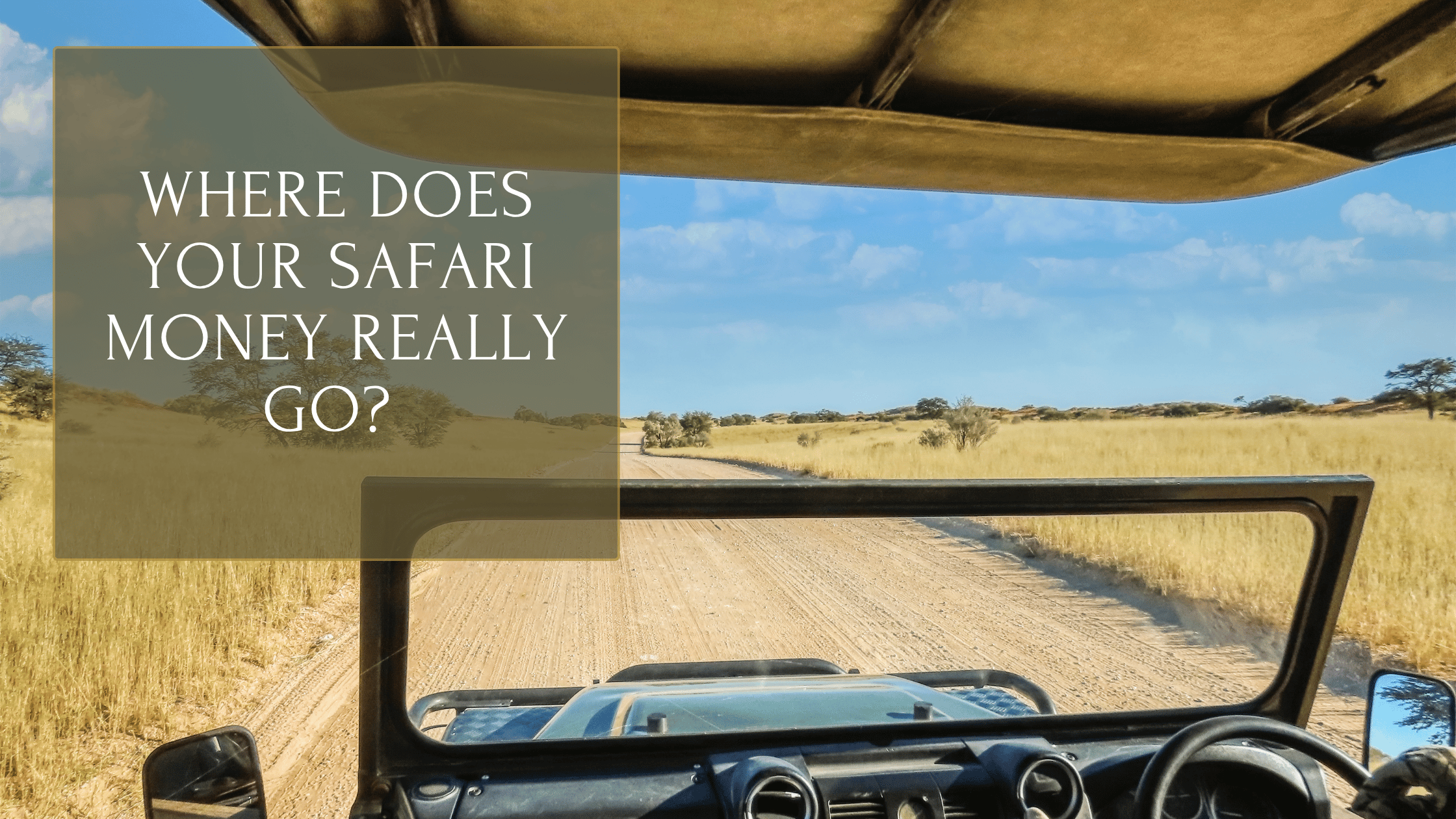 Where Does Your Safari Money Actually Go?