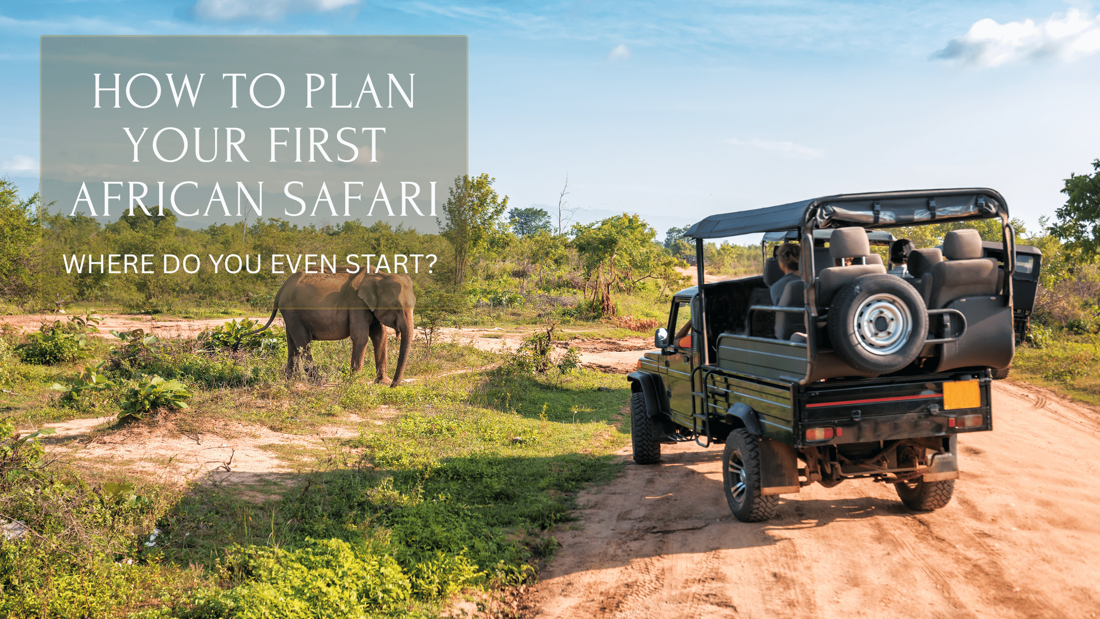 How to Plan Your First African Safari: Where Do You Even Start?