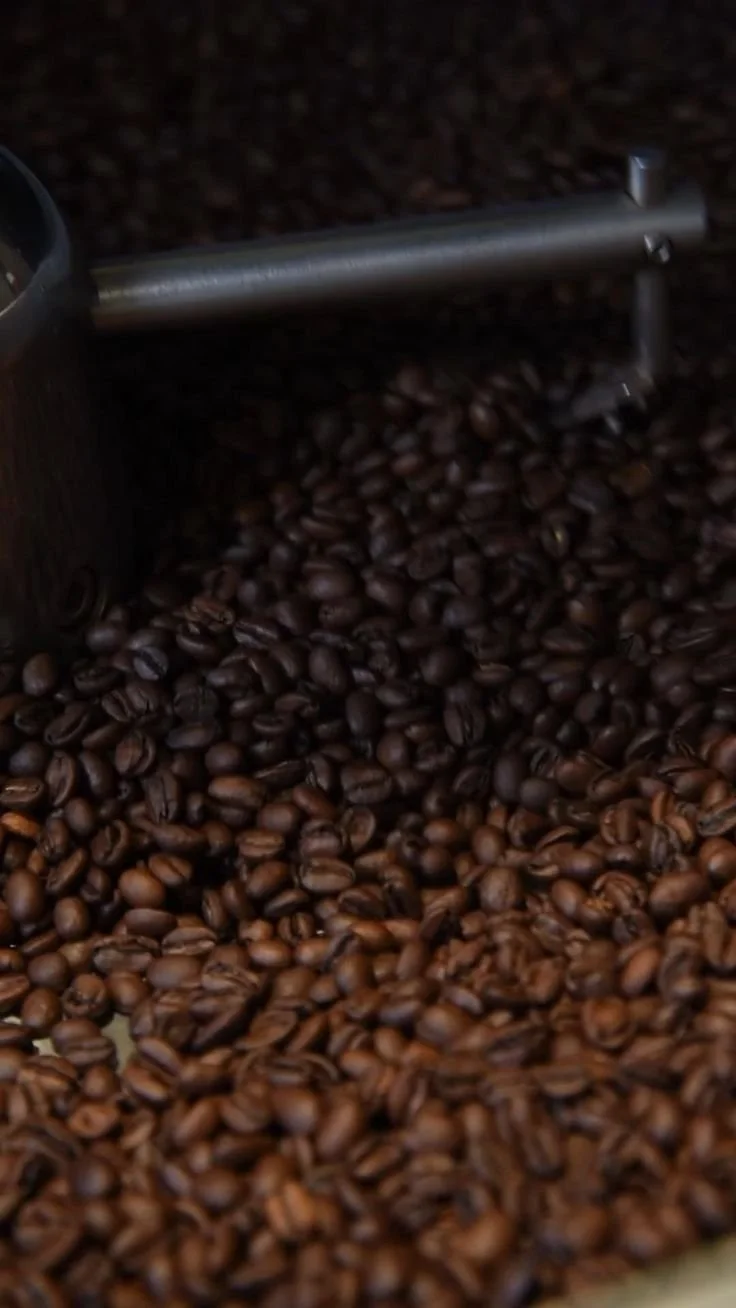 Honduras Medium Roast - 1 lb. bag