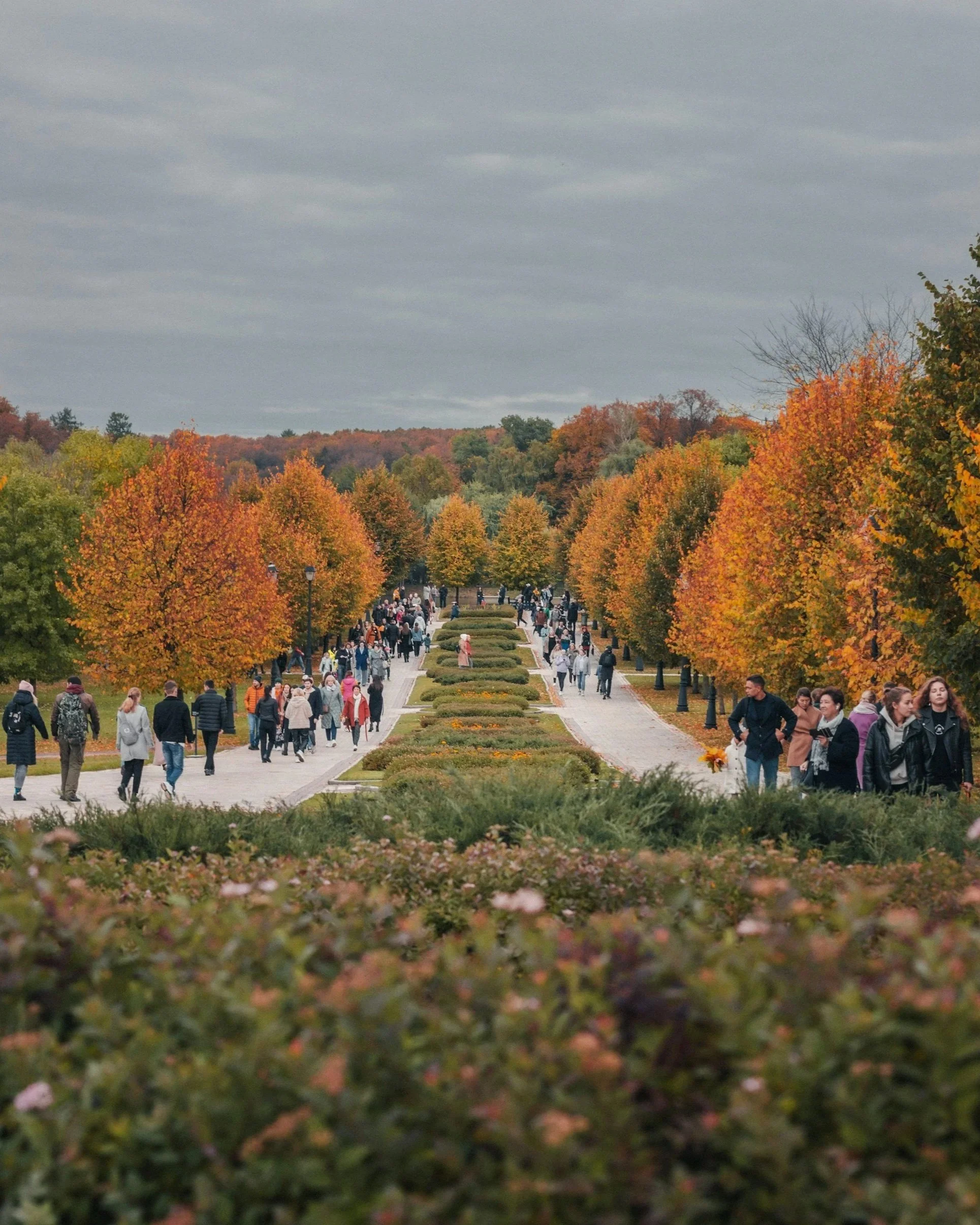 Self-development Indiana