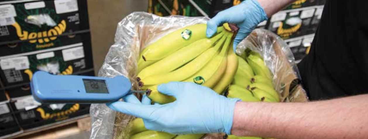 Primeur: “IDP: your food &amp;feed logistics partner”
