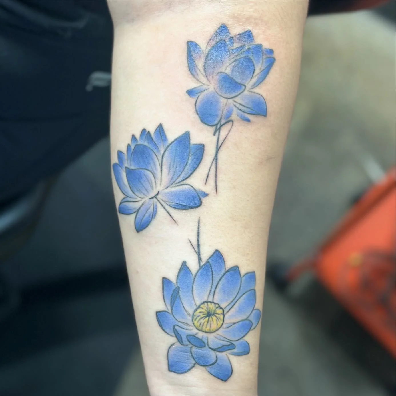 Love the elegance of a lotus flower 🥰