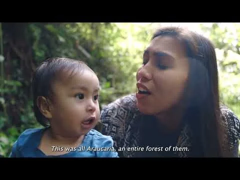 Climate Solutions Shorts Sizzle