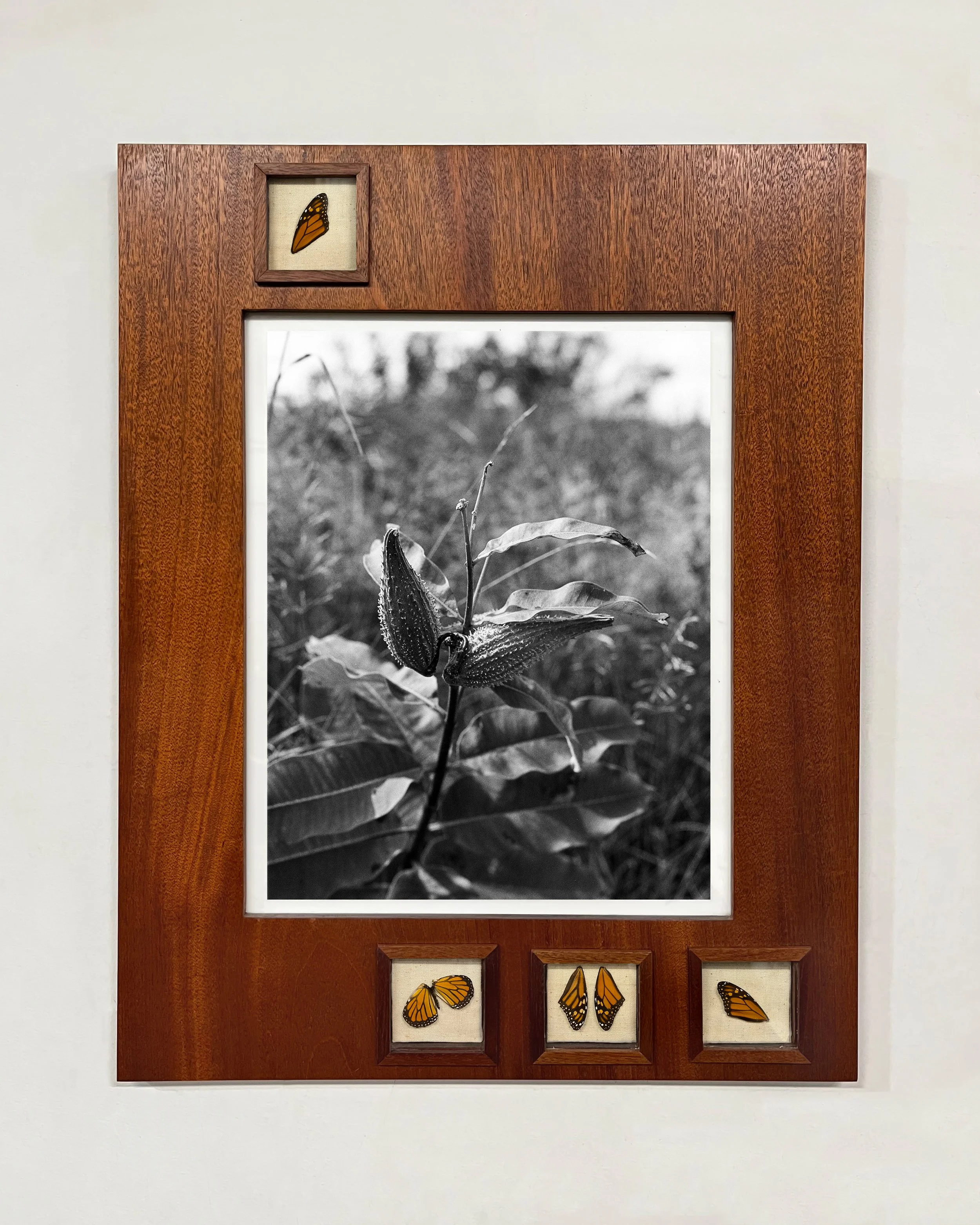 AshOakley_I'll Follow You Into New Life.jpg