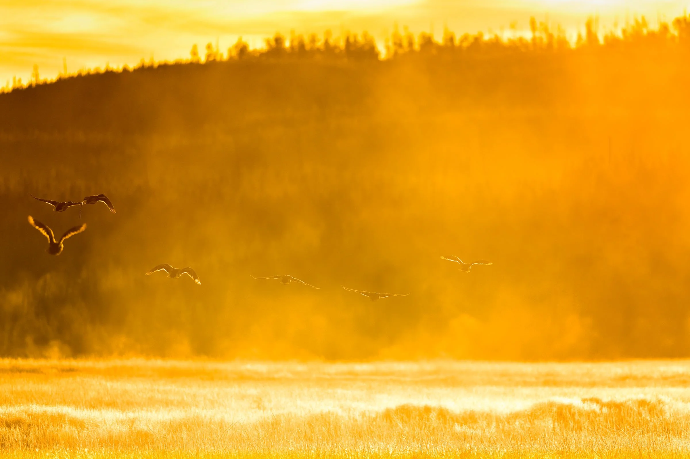 Partner Event: 10th Annual Arkansas Environmental Policy Summit