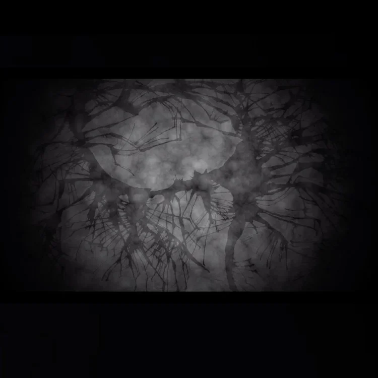 Matilde Böcher & Felia Gram: “O = C - N - H / The Secret Handshake”