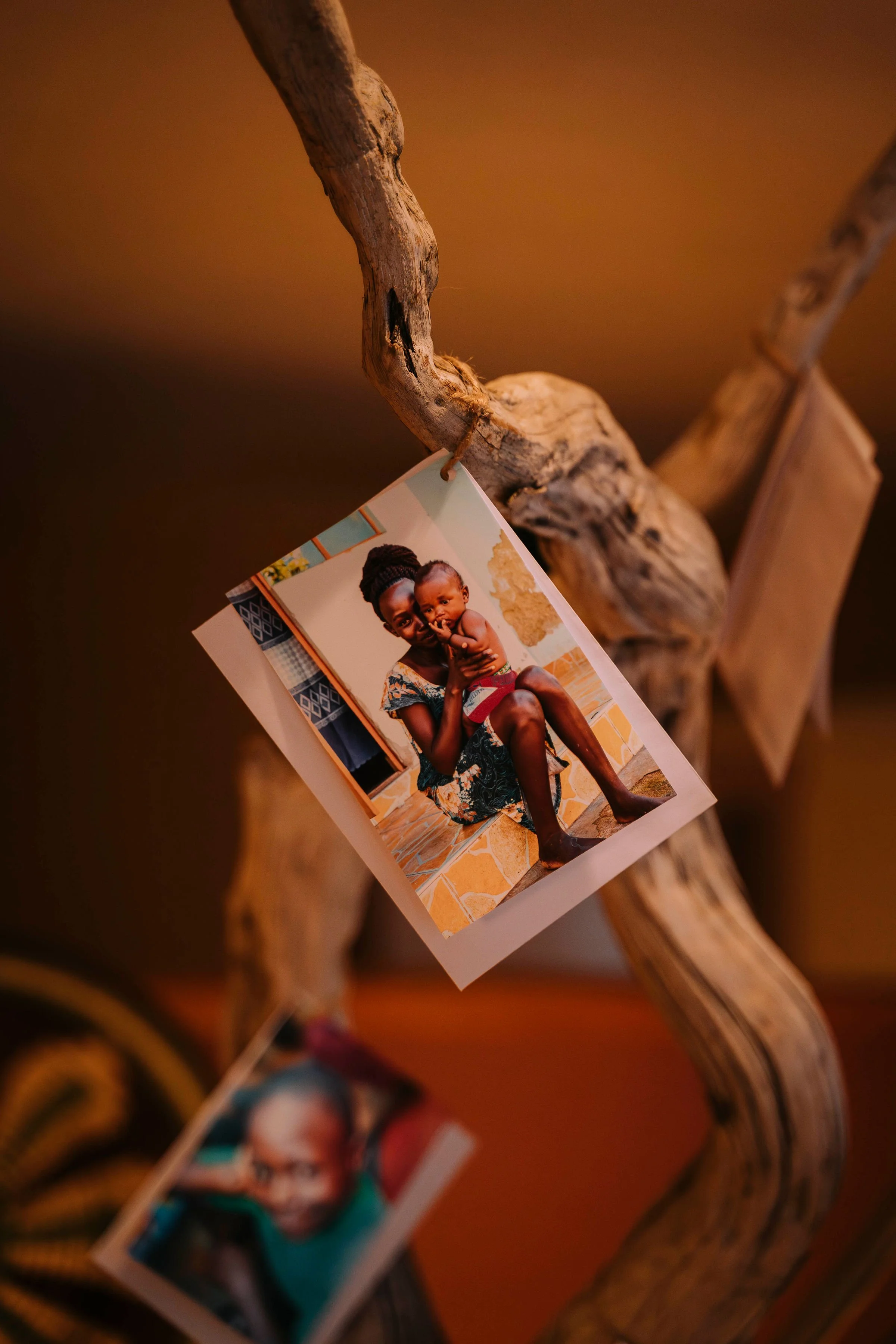 giving tree card photo.jpg