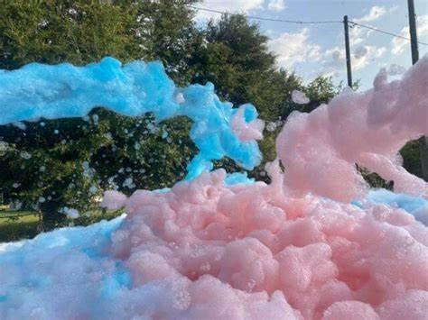 Gender Reveal Foam Party Pink/Blue