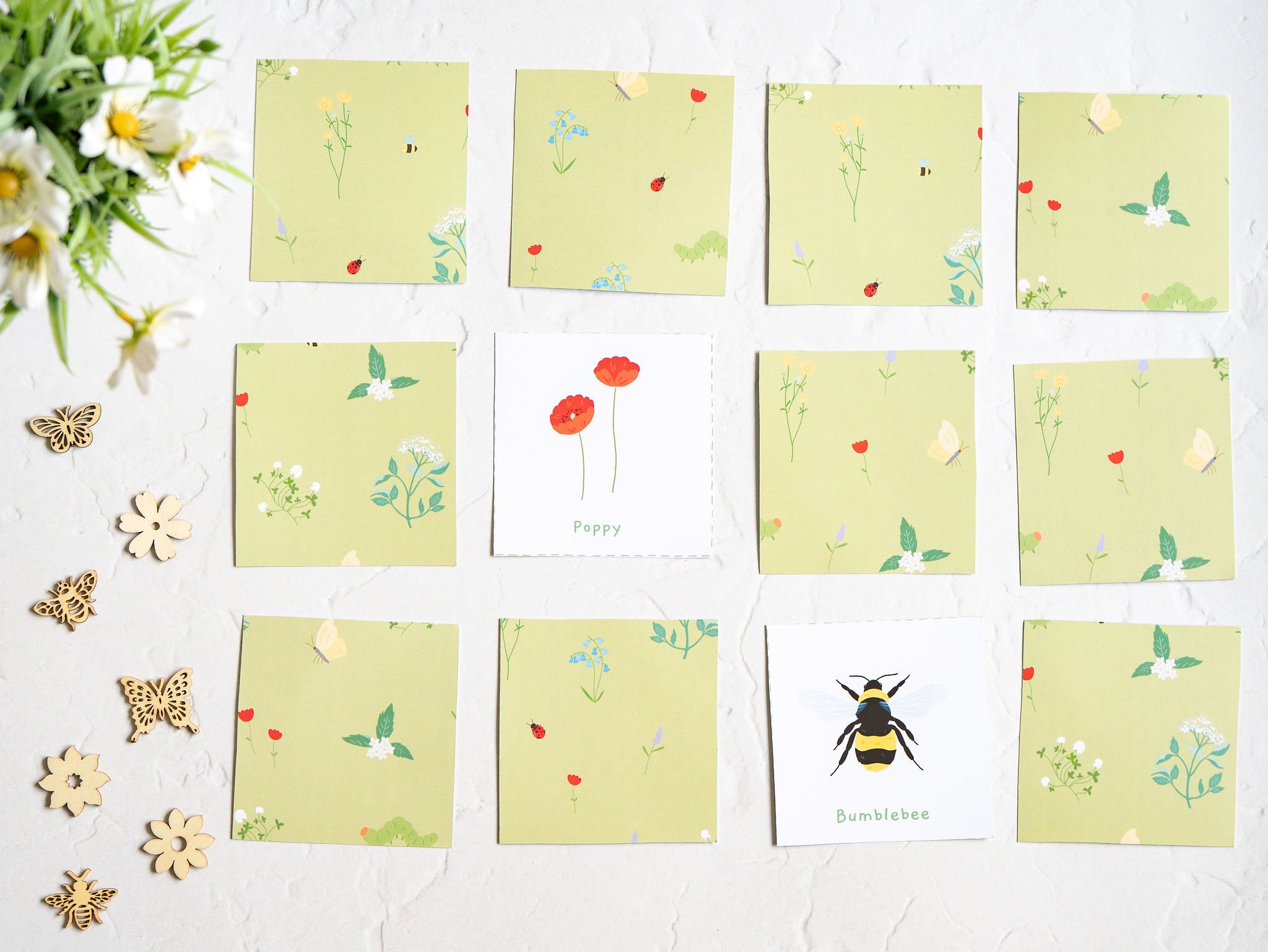 pollinatorsbox-06754.jpeg