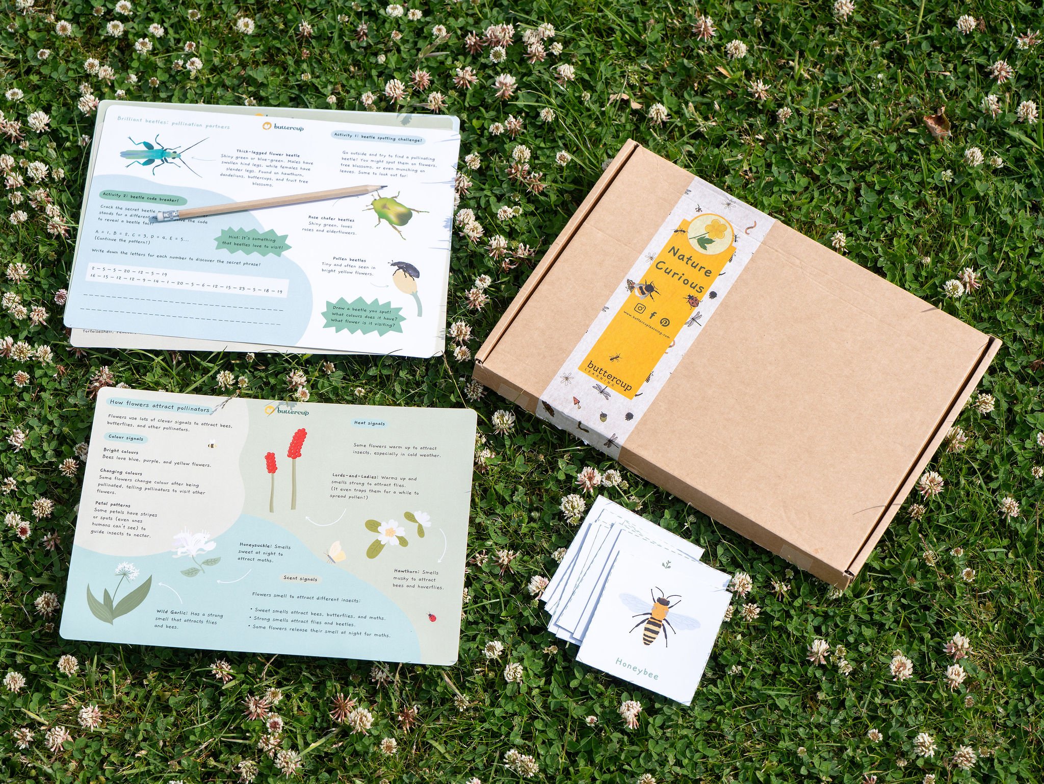 pollinatorsbox-06767.jpeg
