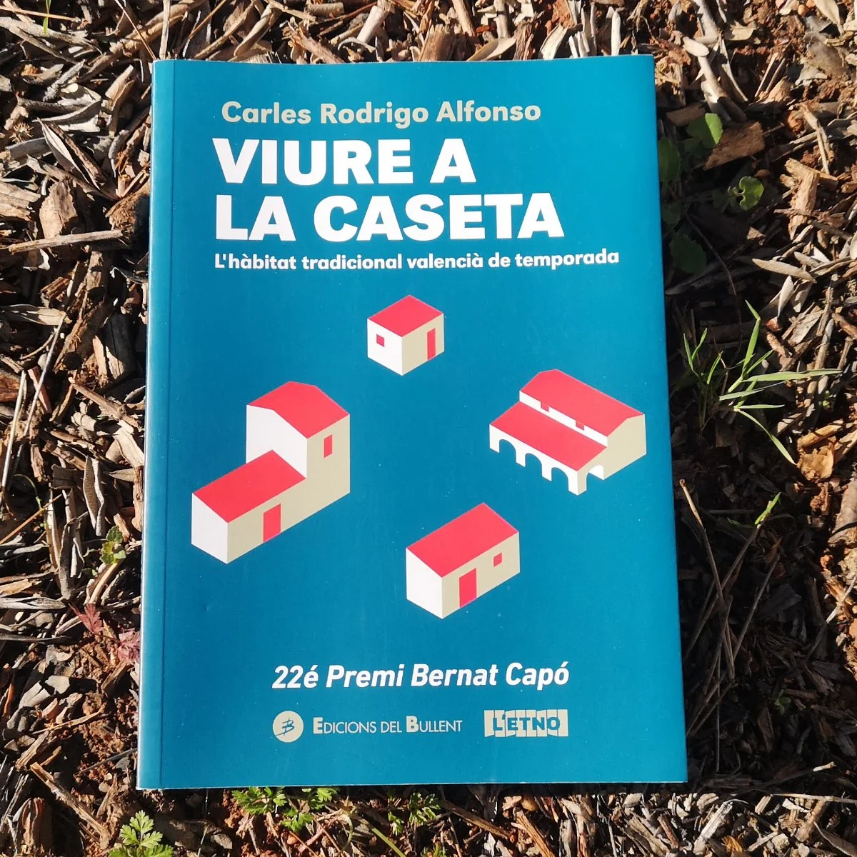 Blue book cover titled "Viure a la Caseta" by Carles Rodrigo Alfonso, featuring illustrations of small traditional Valencian sheds with red roofs and beige walls, on a bed of dry leaves and grass.