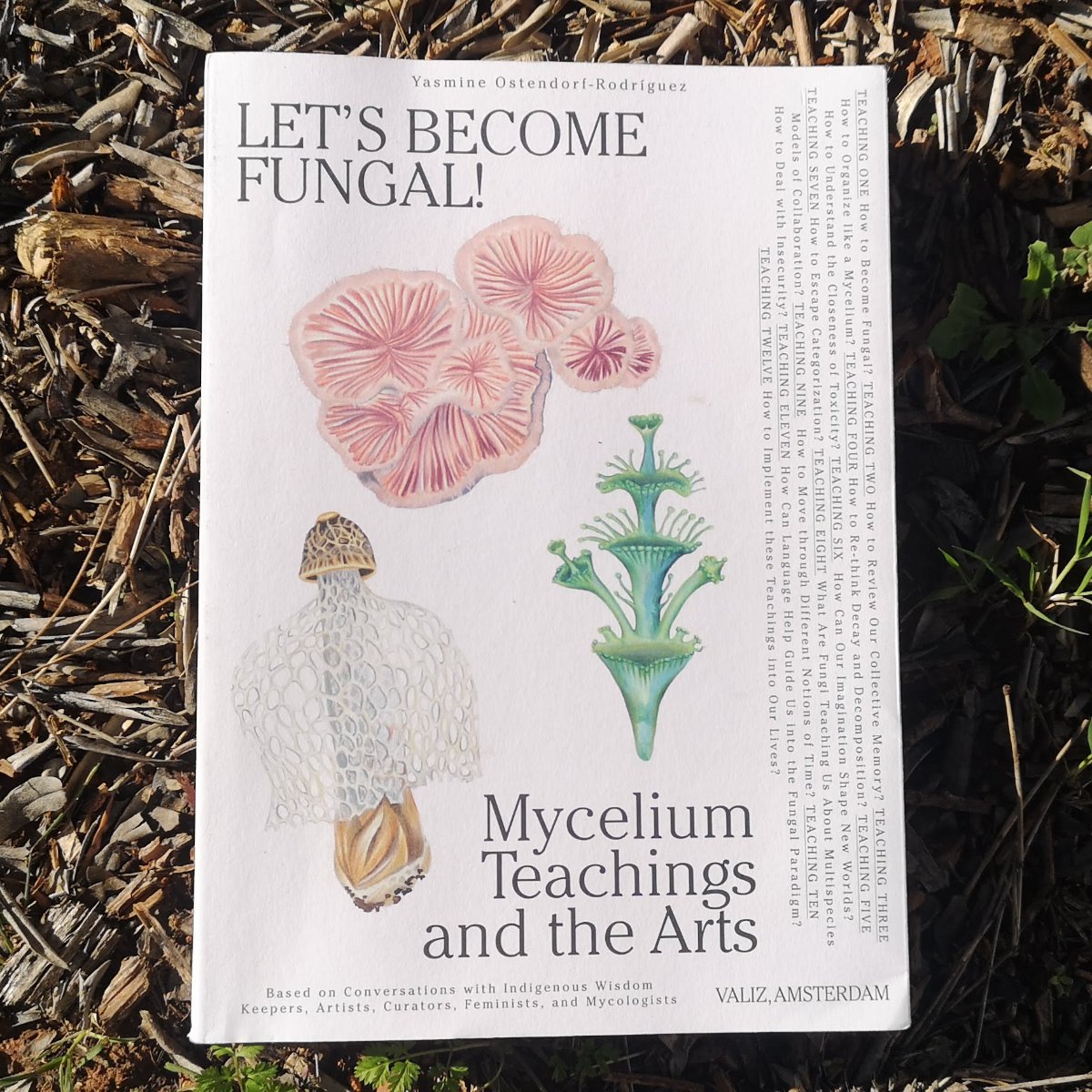 Cover of a book titled "Let's Become Fungal! Mycelium Teachings and the Arts" with illustrations of fungi, including pink mushrooms, a green stalk fungus, and a patterned mushroom, on a white background.