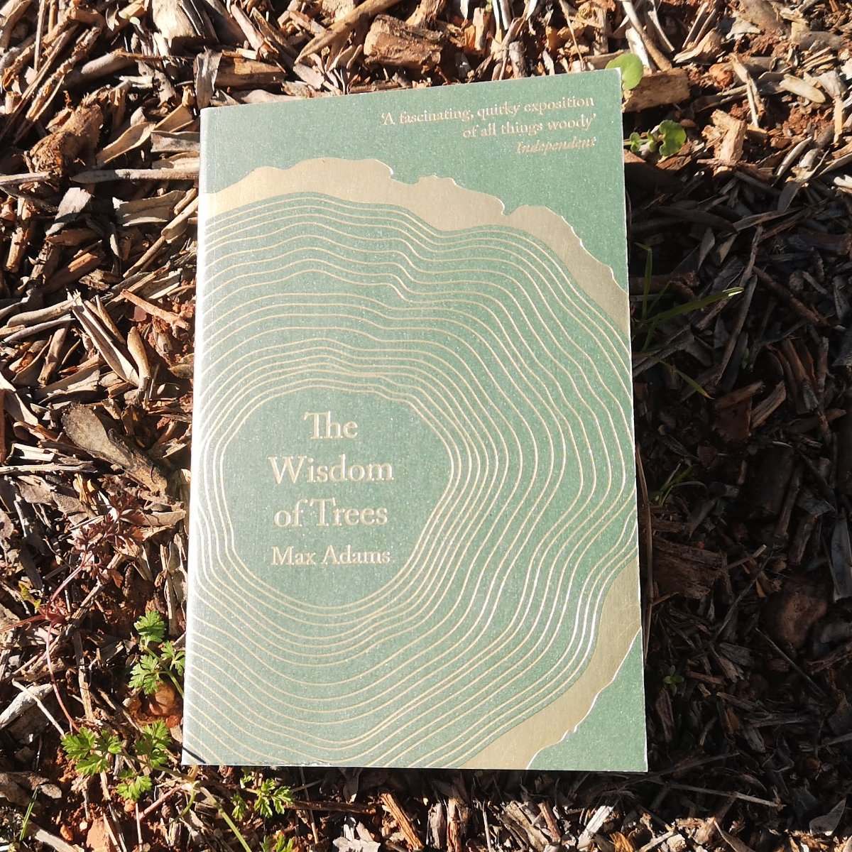 Book titled "The Wisdom of Trees" by Max Adams, placed on a bed of mulch with small green plants nearby.