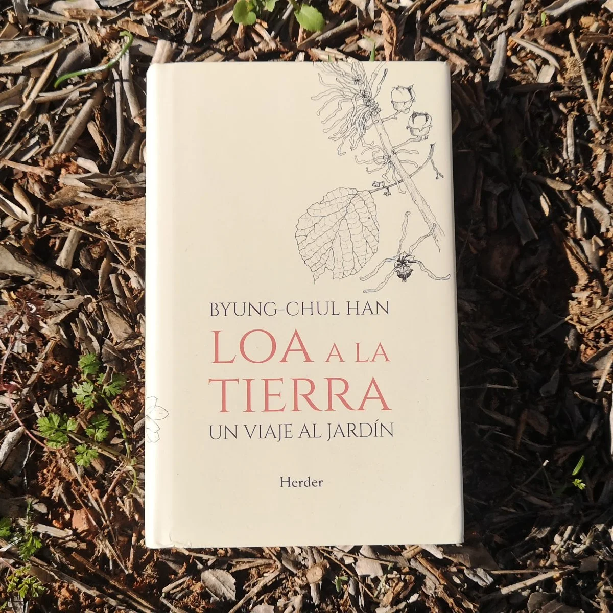 Book titled 'Loa a la Tierra: Un Viaje al Jardín' by Byung-Chul Han, lying on wood chips and small plants, with a botanical illustration on the cover.