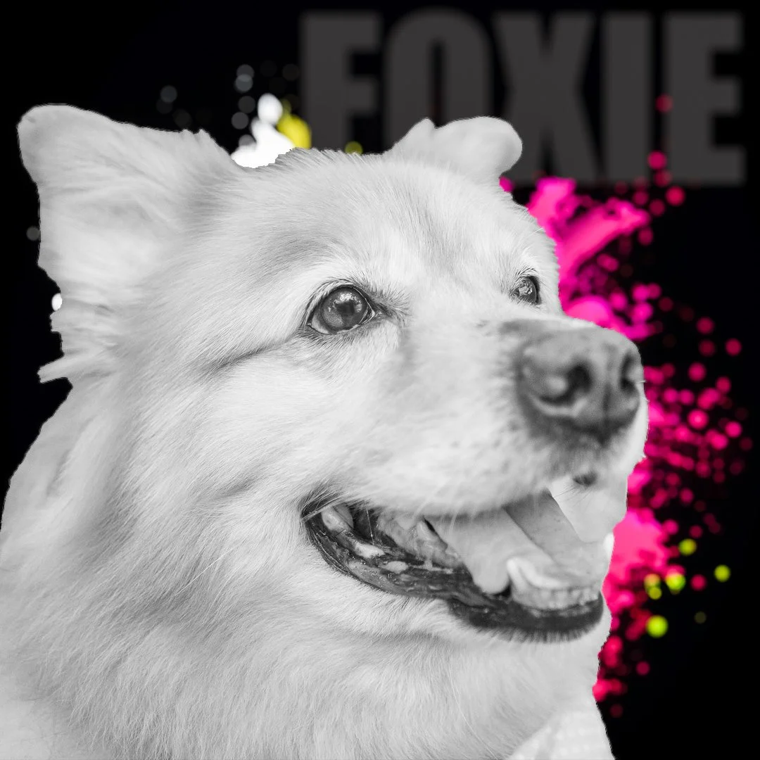 Foxie Happy_.jpeg