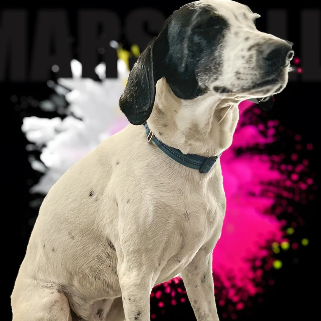 Family Intro - Marshall_.jpeg