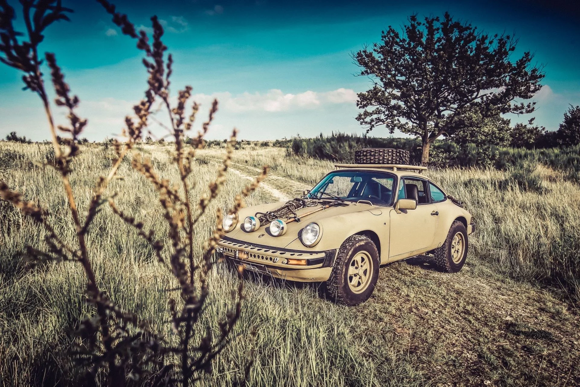 Erik Brandenburg Interview Safari Porsche