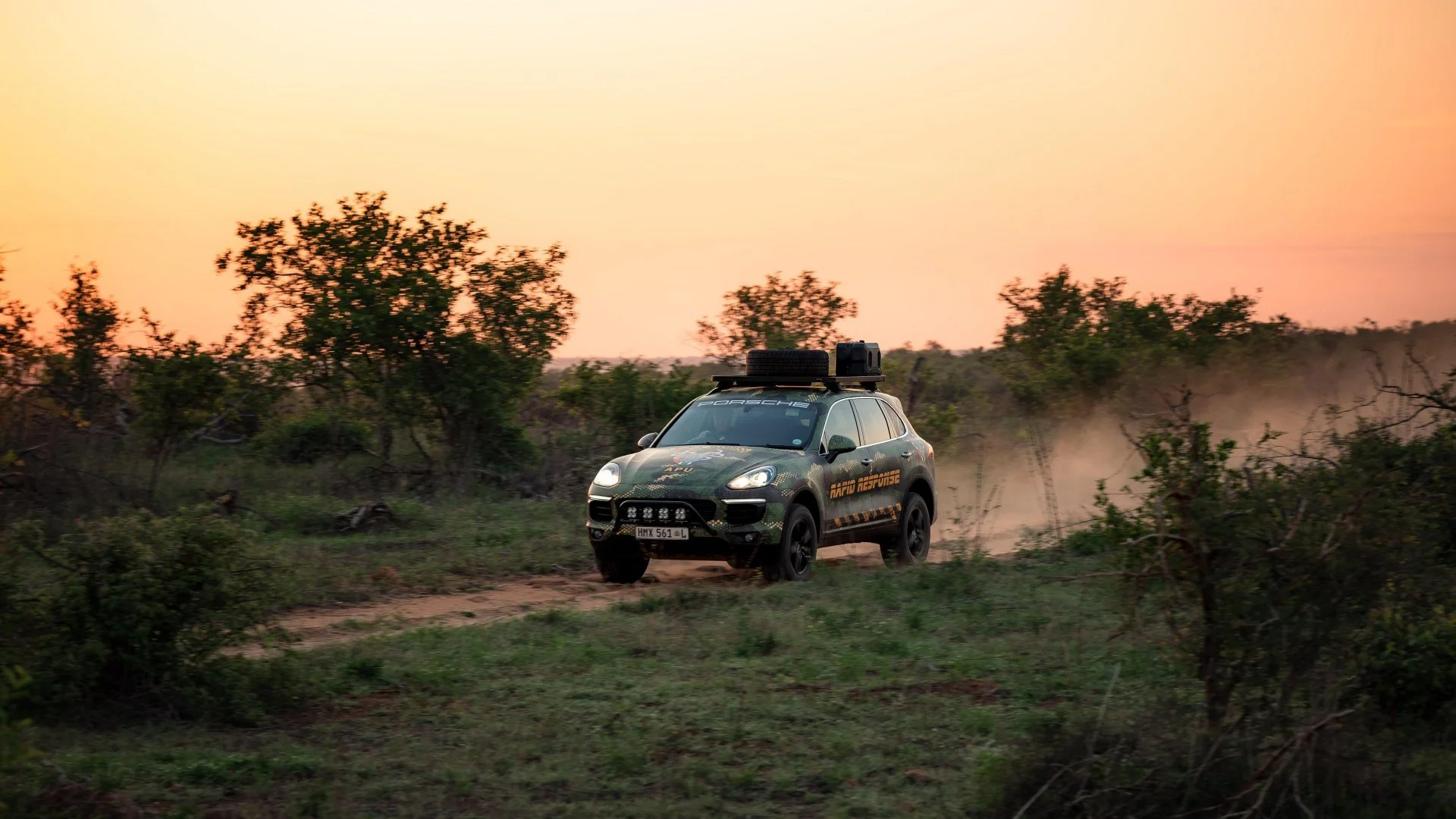 Porsche Cayenne für Nashornschutz: Gegen Wilderer im Kruger-Nationalpark