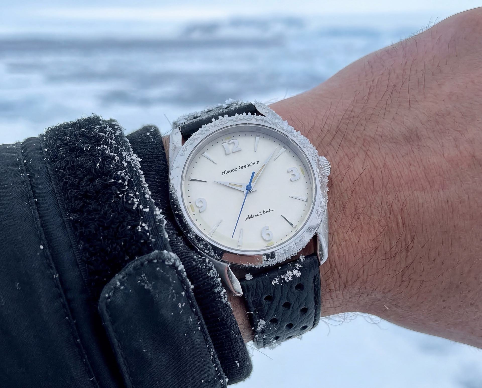 Nivada Antarctic Erotic am Arm