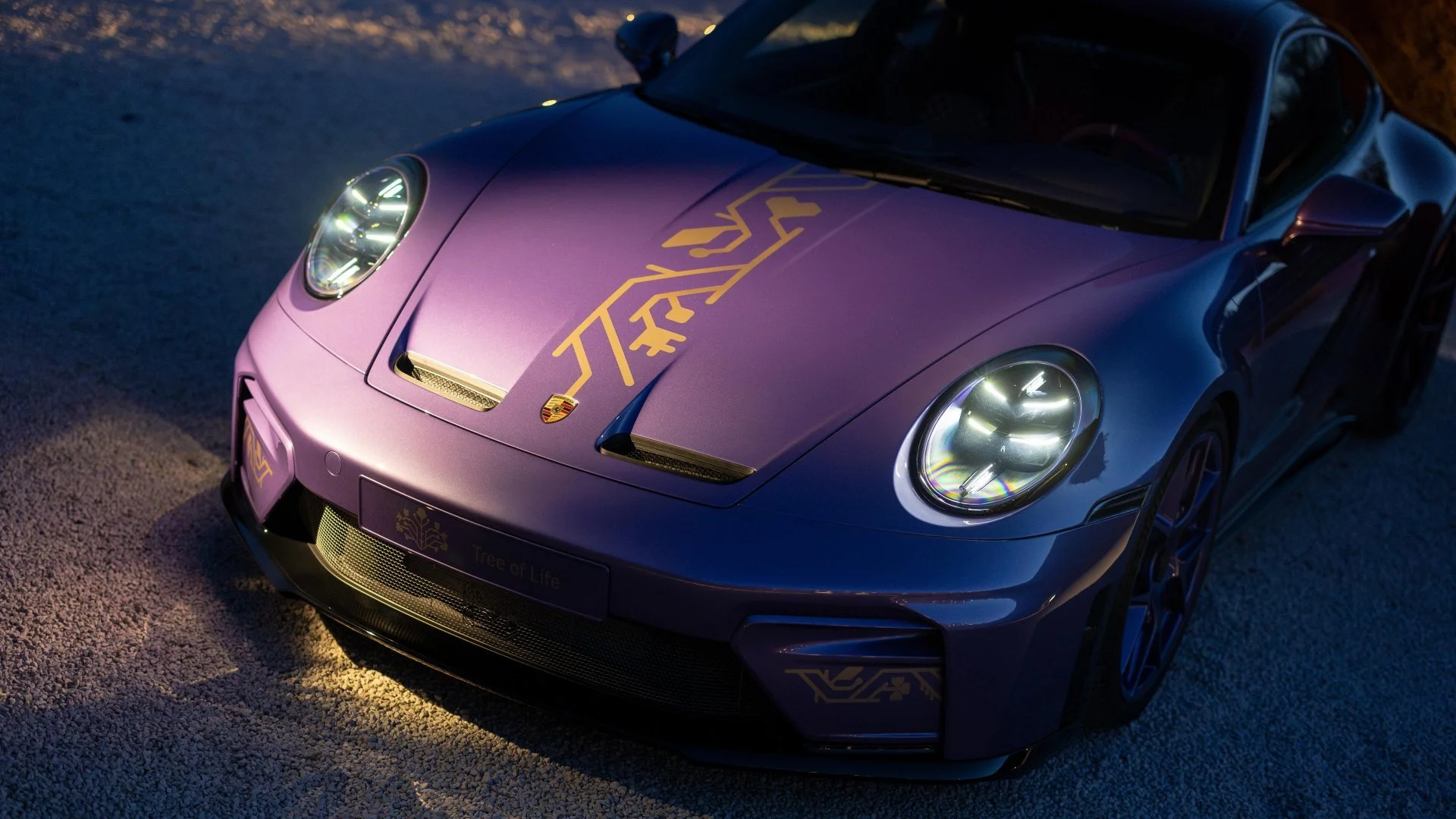 Porsche GT3 Touring Moldau Sonderwunsch Tree of Life Haube