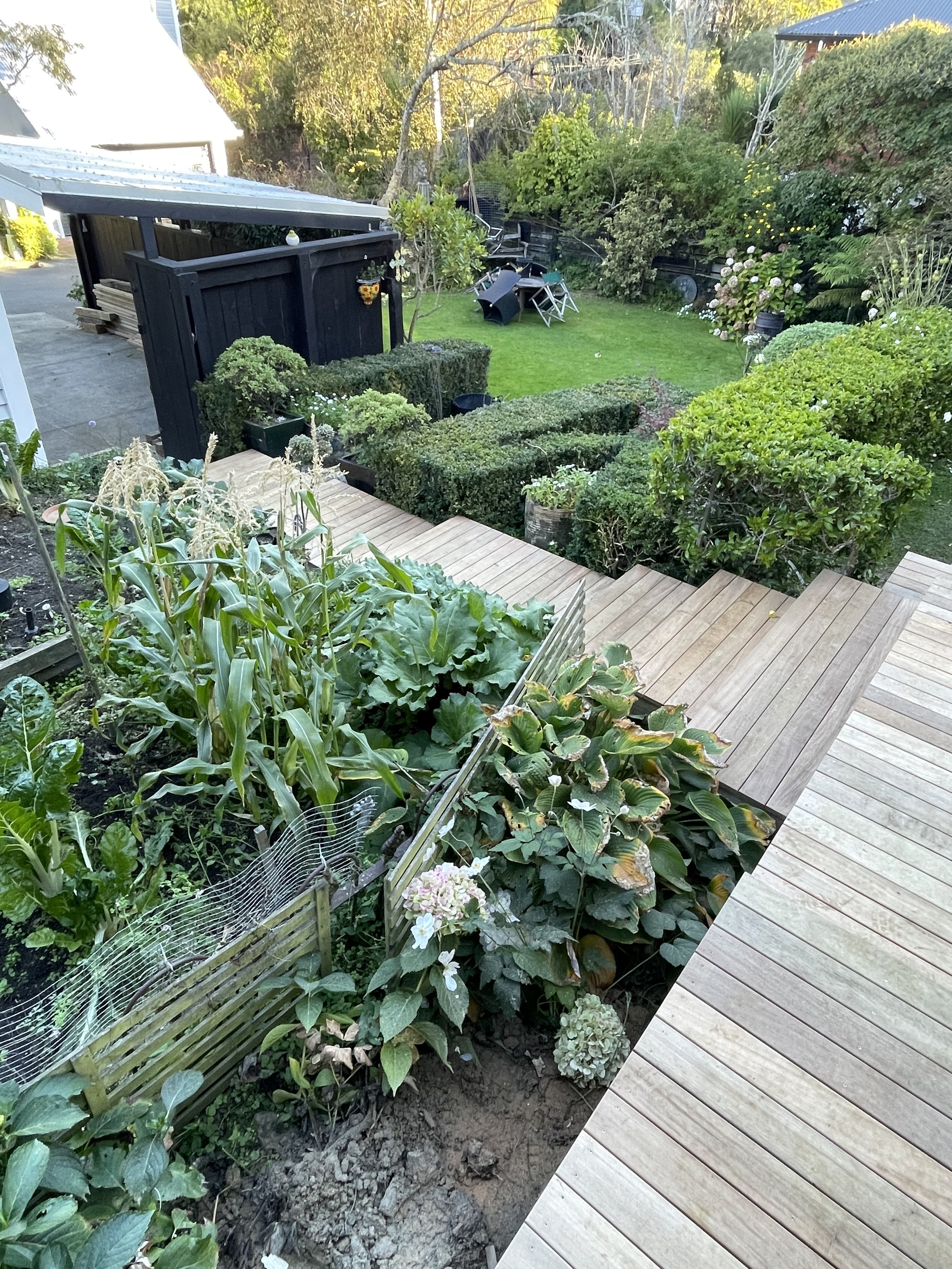 IMG_6281 (1).jpeg
