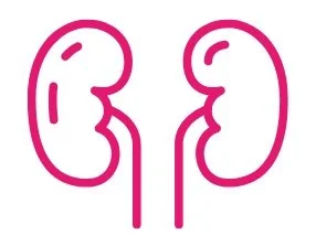 In Reply to "Low-Flow Home Hemodialysis Technologies: The Key to Greener Dialysis?"