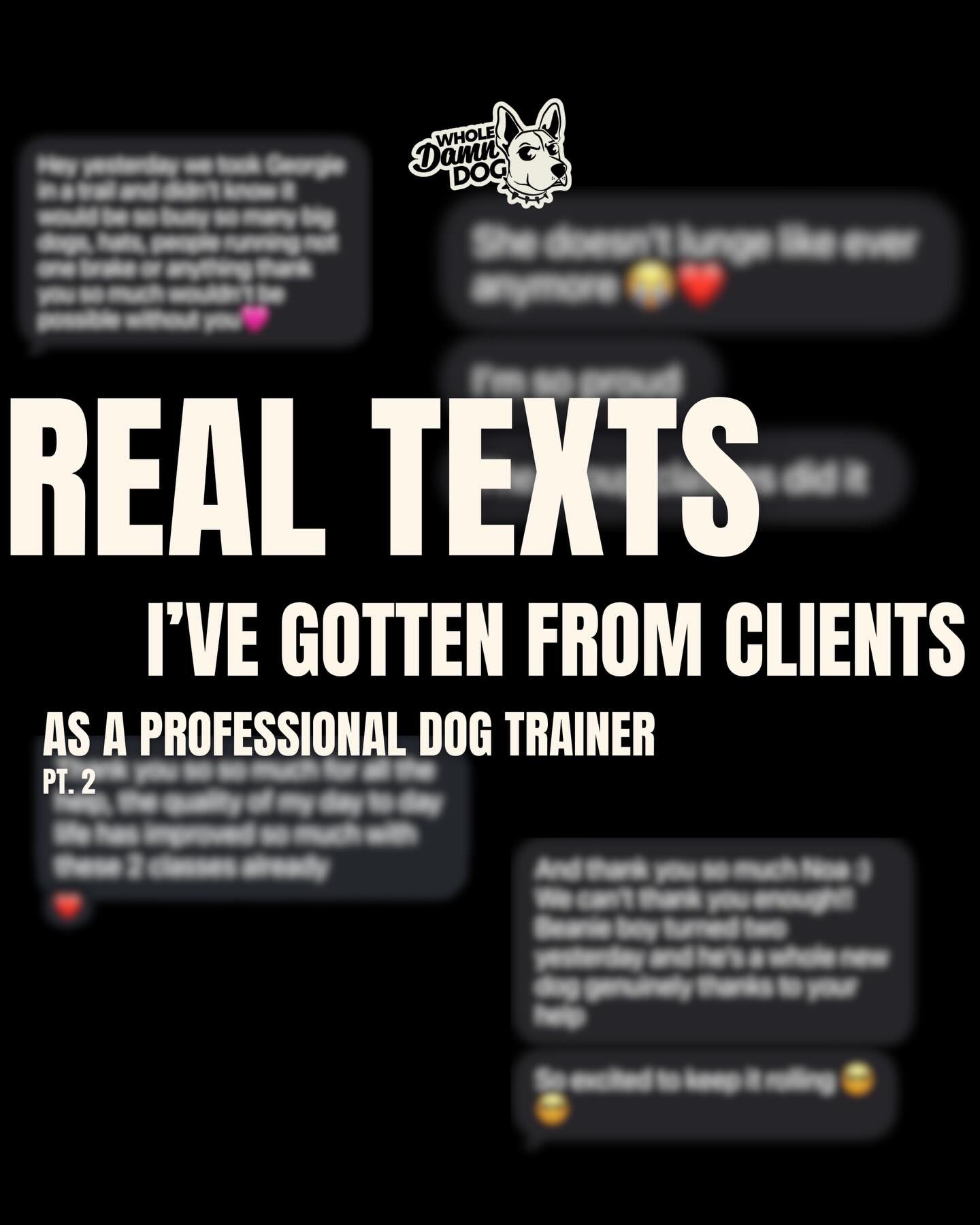 These messages make me so happy 😭🫶🏼

This could be you!! Send a DM if you want to train with me. 

#dogtraıner #sandiegodogtrainer #obediencetraining #reactivitytraining