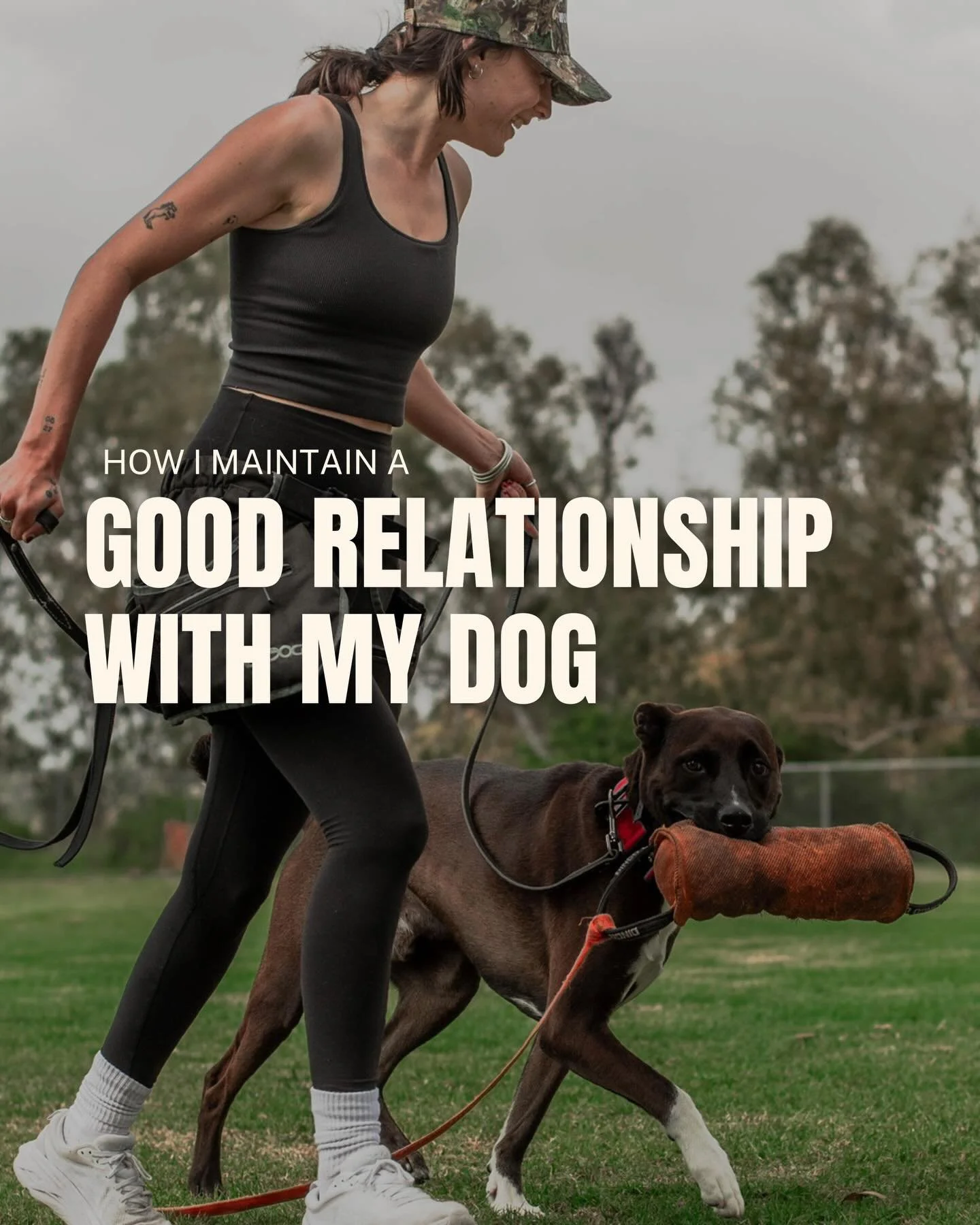 Creating and maintaining a good relationship with your dog takes intention and time. 

#dogtraining #sandiegodog #reactivedog