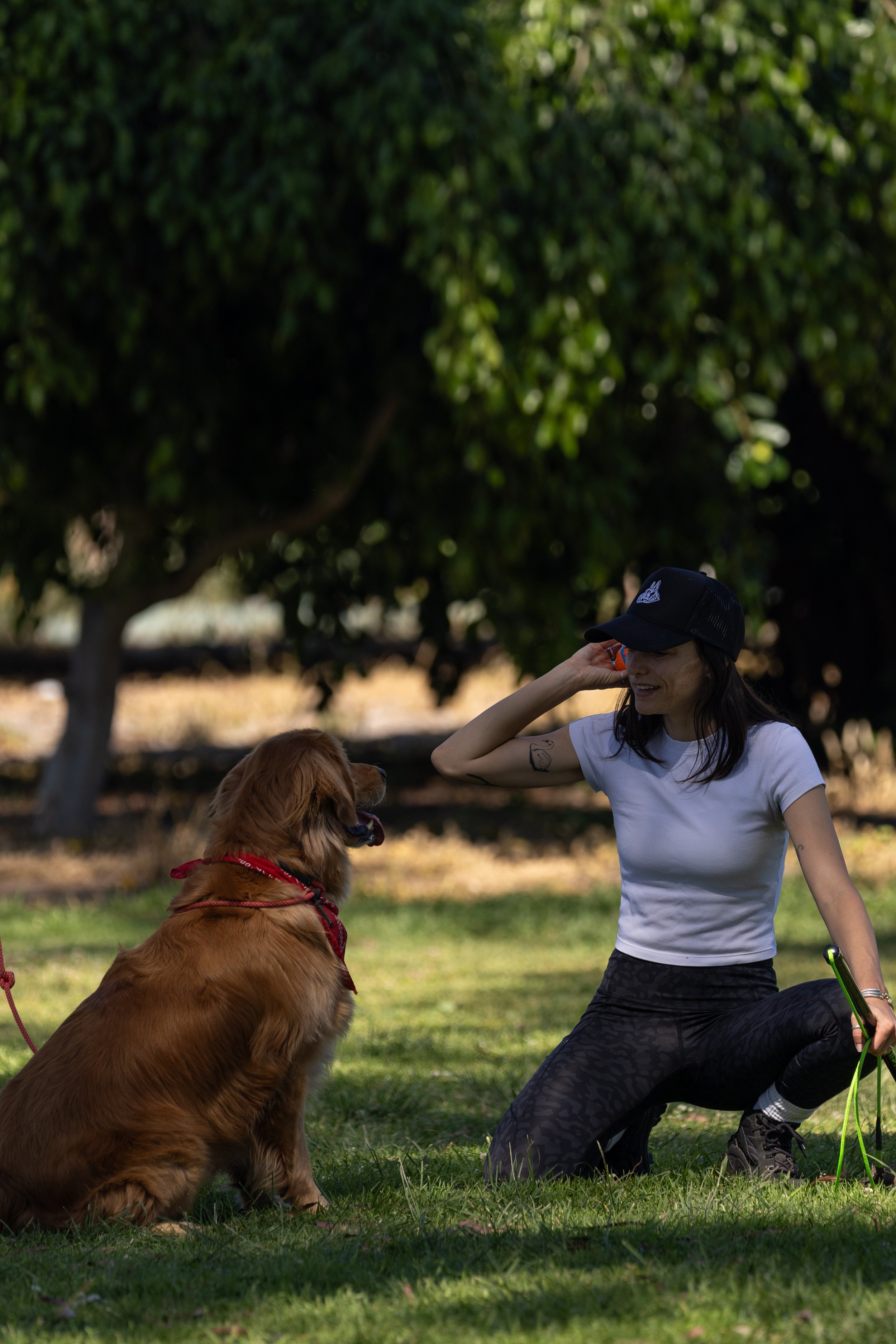 Golden Retriever and Dog Trainer in the Park