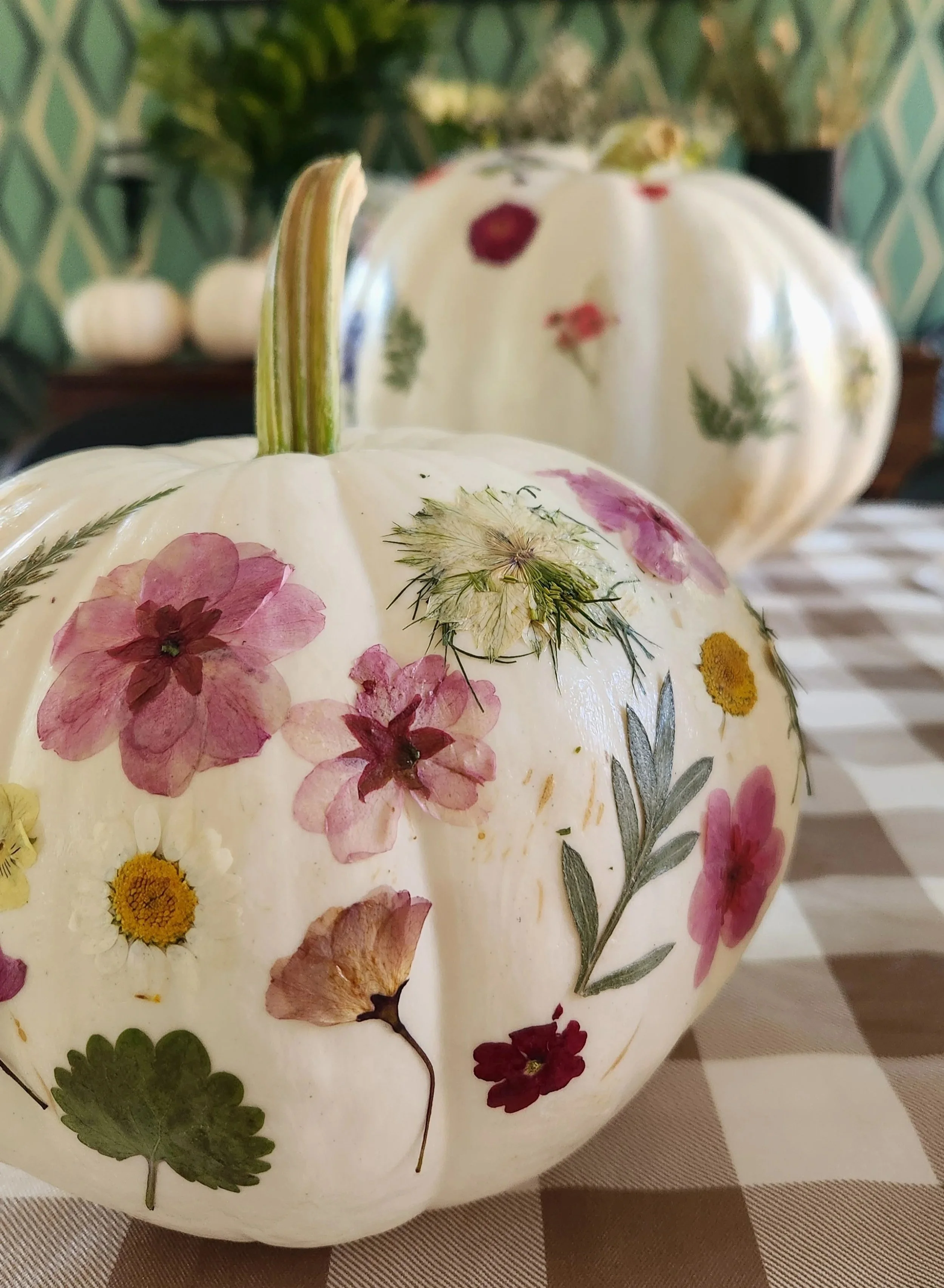 Petals and Pumpkins