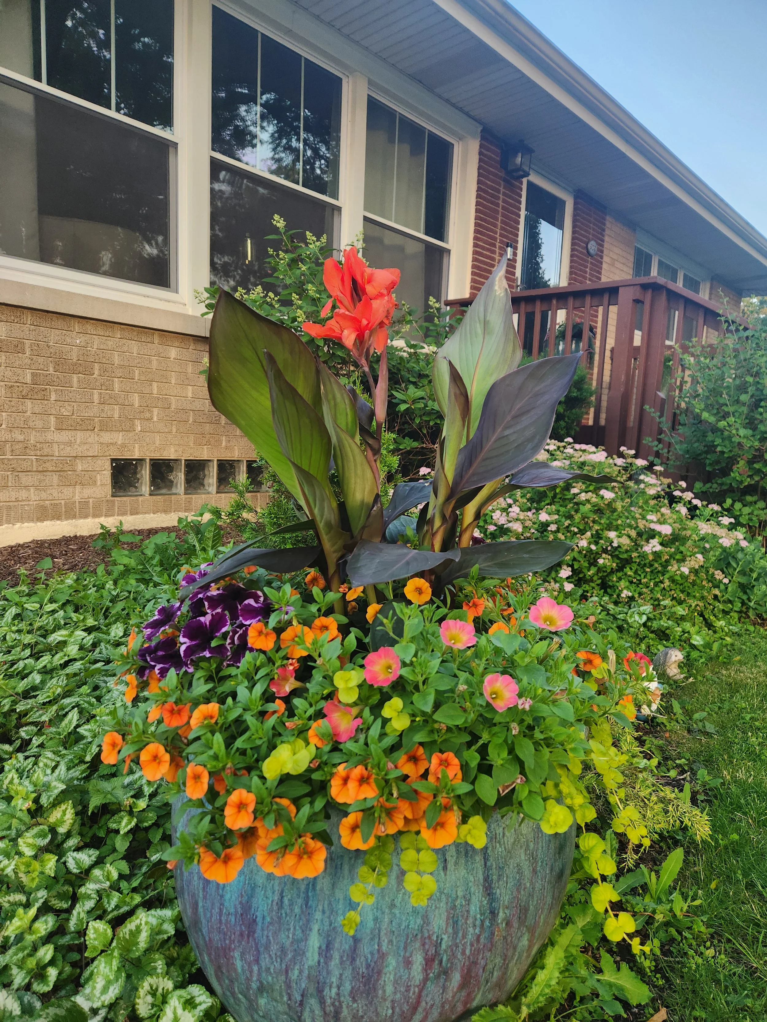 SUMMER VIBRANT COLOR 2.jpg