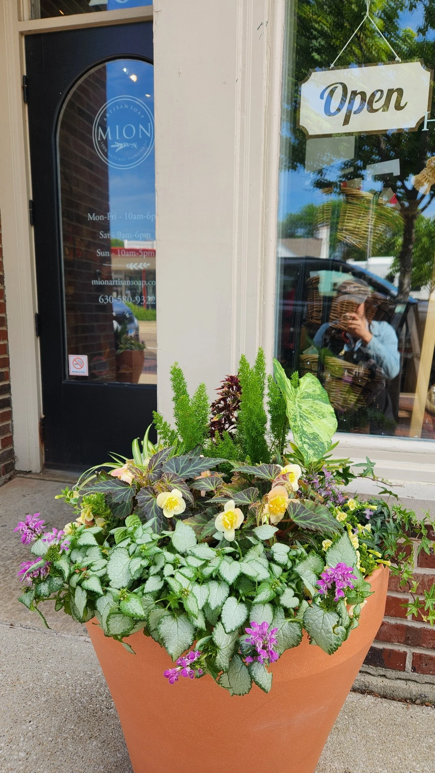 Round Planter Styling (Existing Planters)