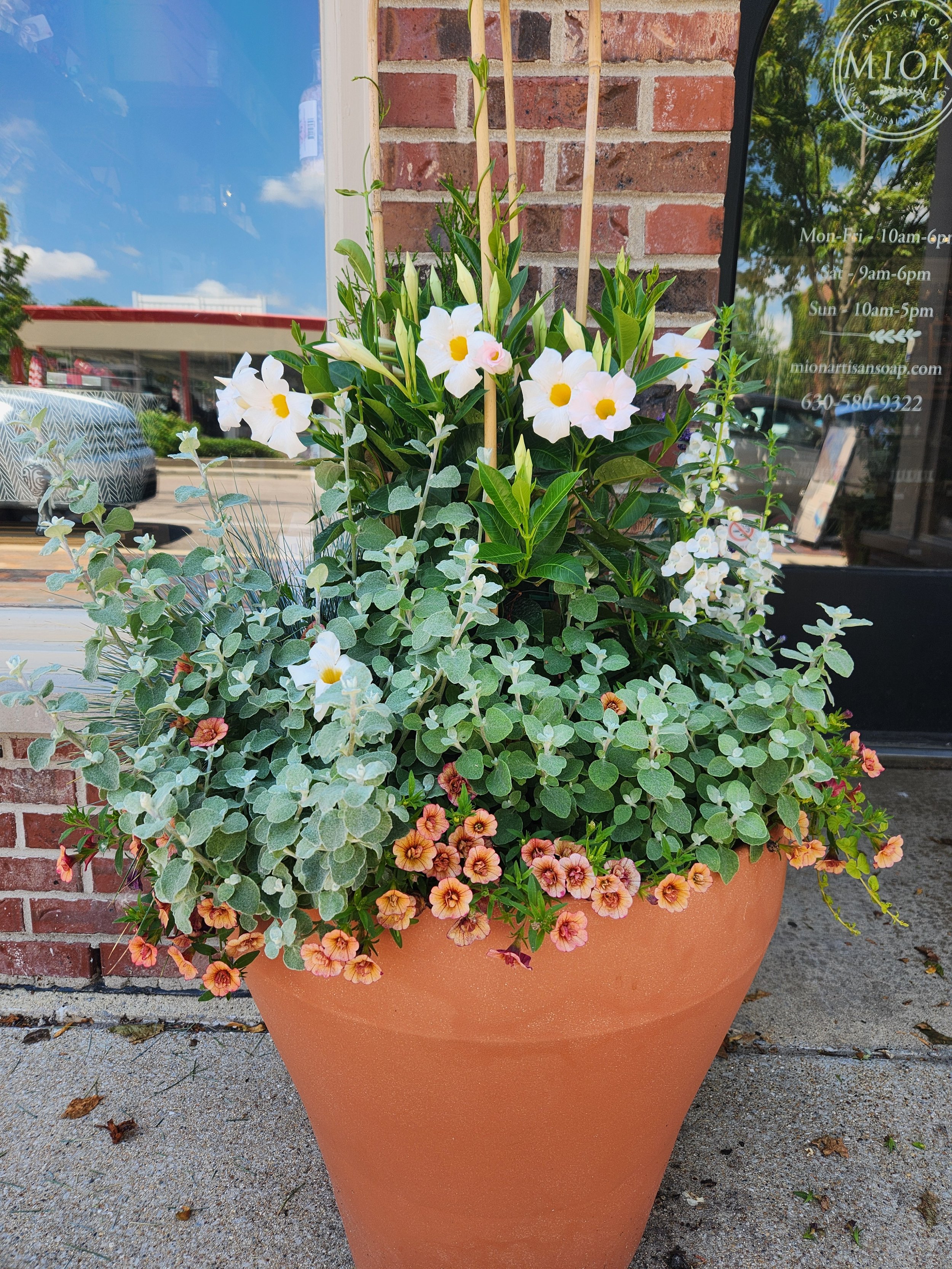 SUMMER WITH XL TROPICAL.jpg