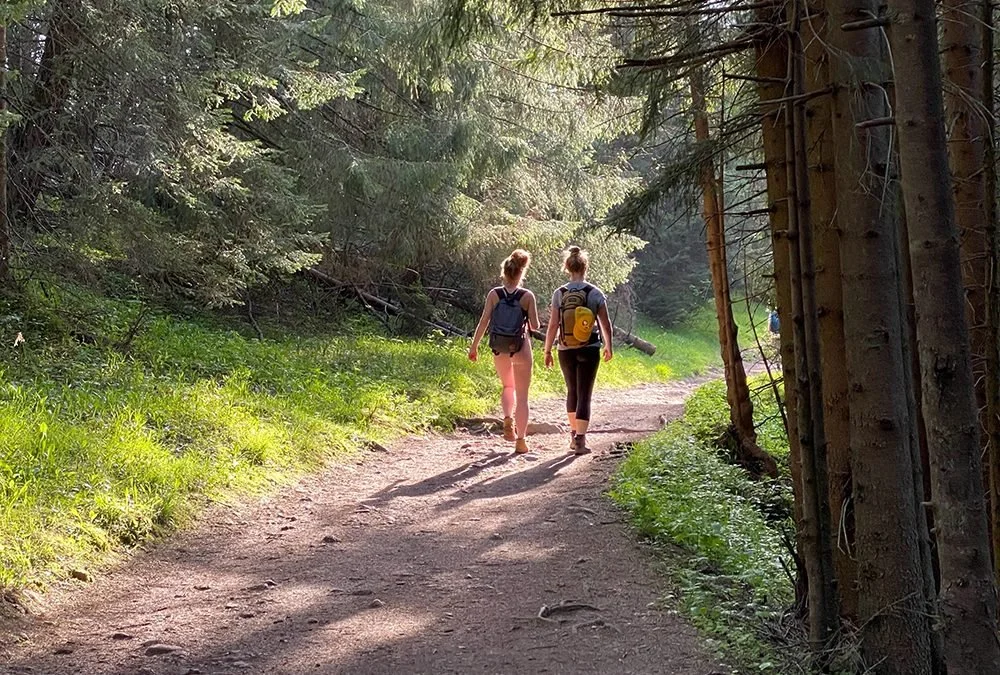 Walking Therapy 