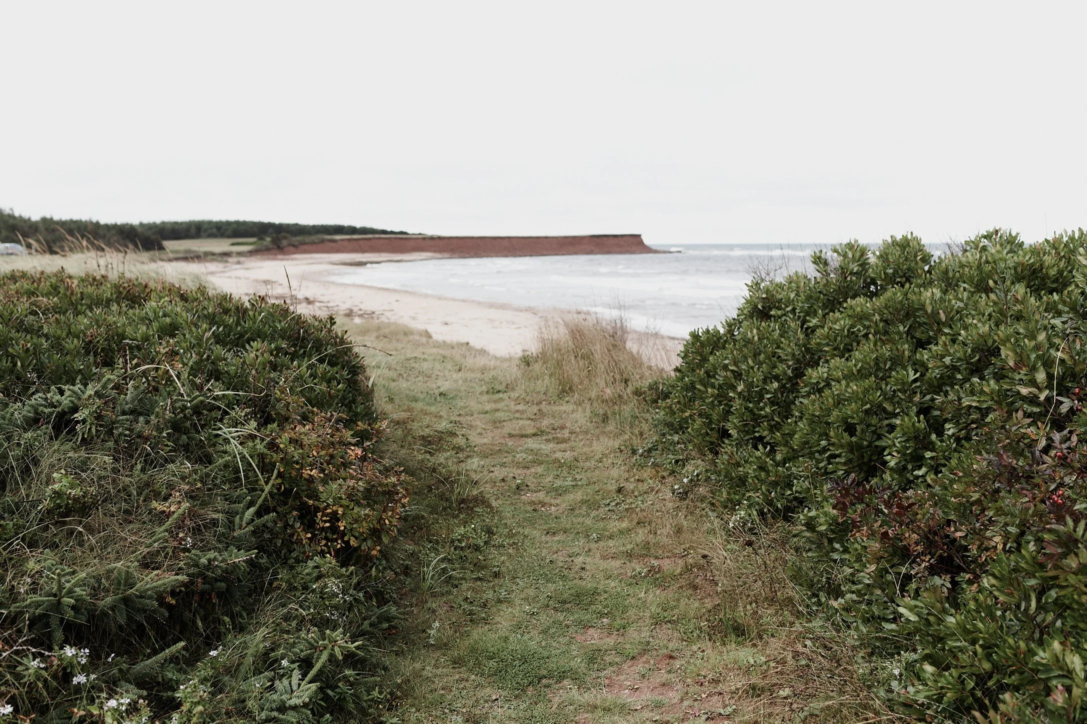 Calm beach with gentle waves and soft light, evoking a sense of calm and grounding