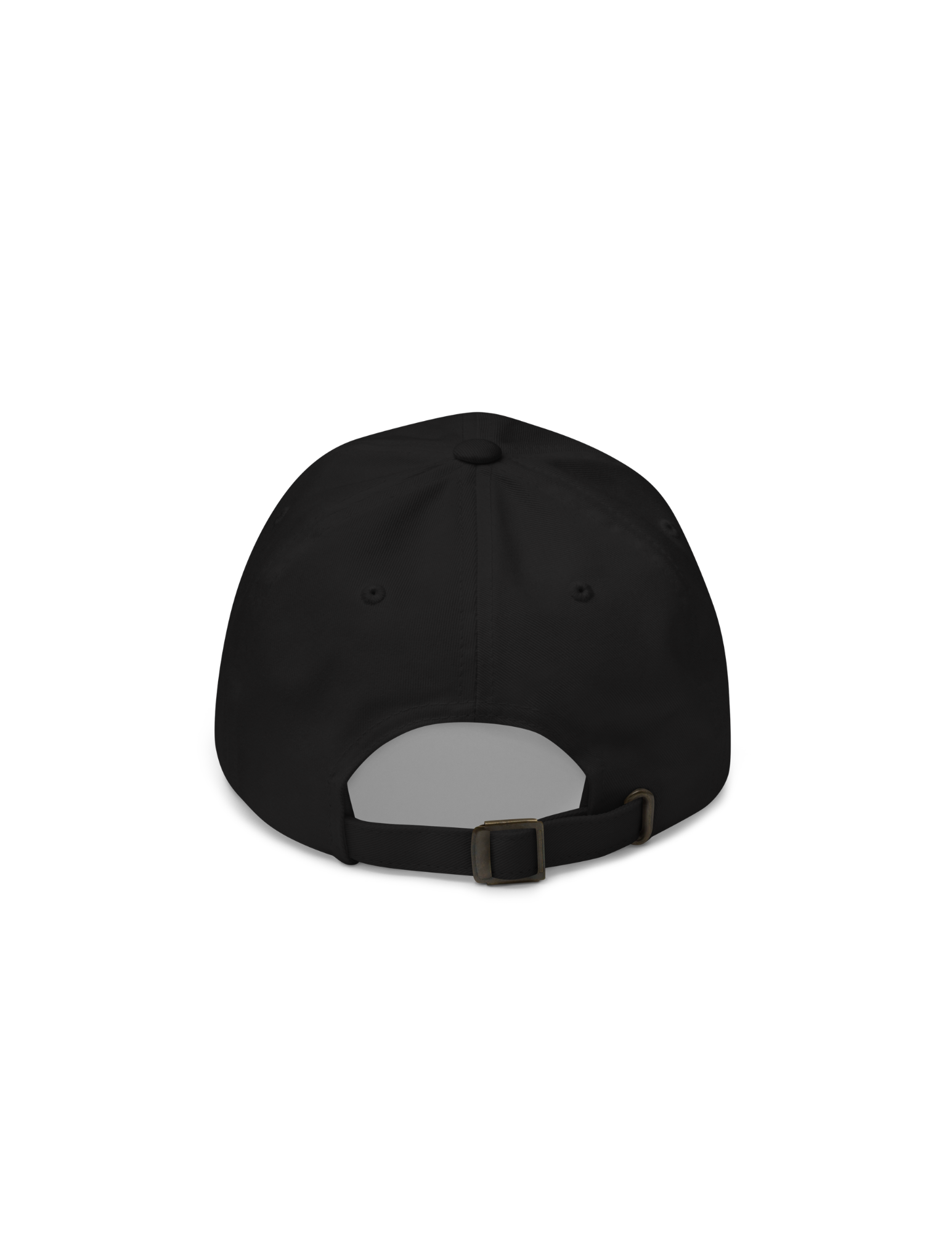 LIAL CAP BACK 1.png (Copy)