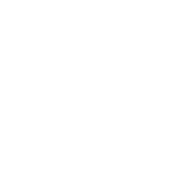 Level AI logo icon