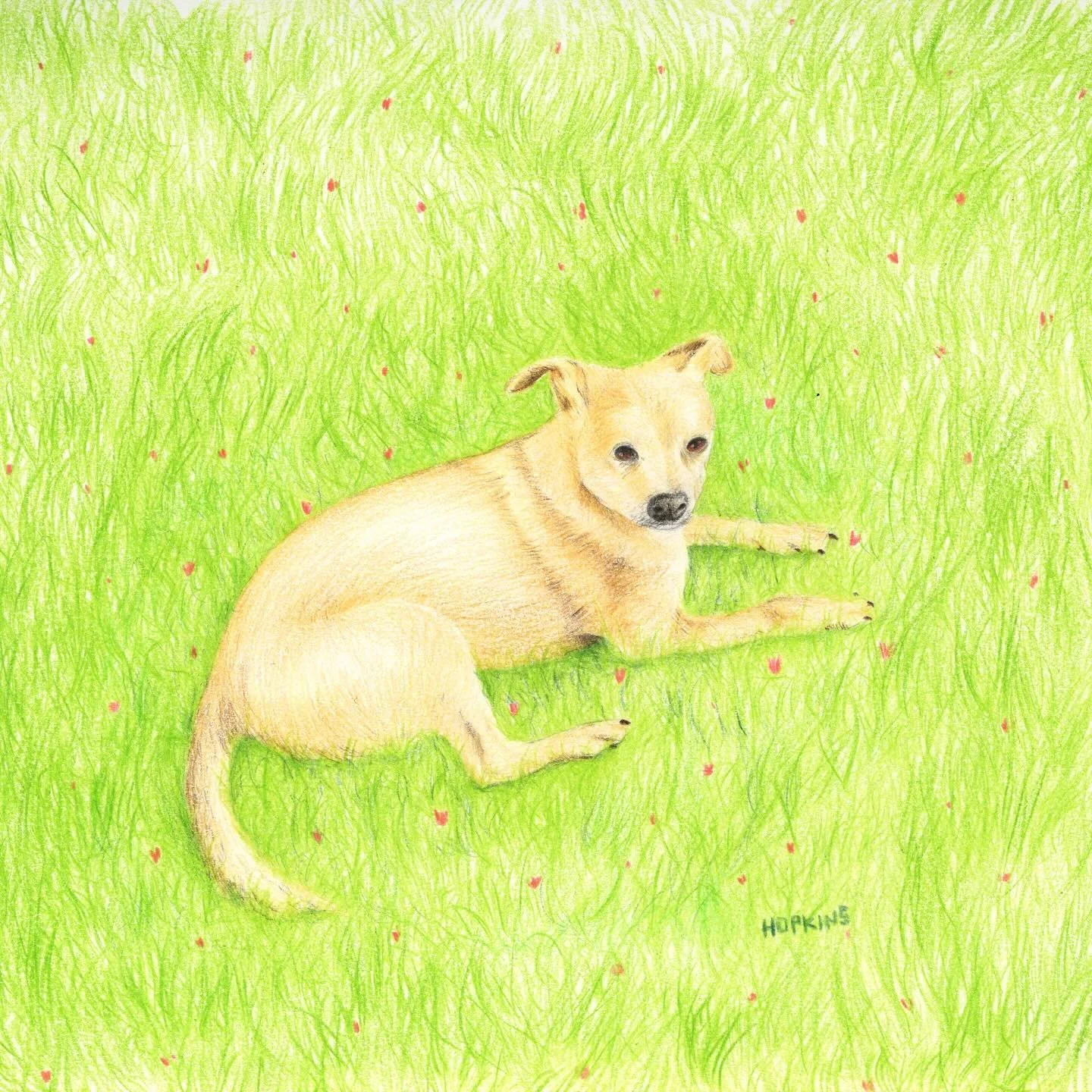 Sammy