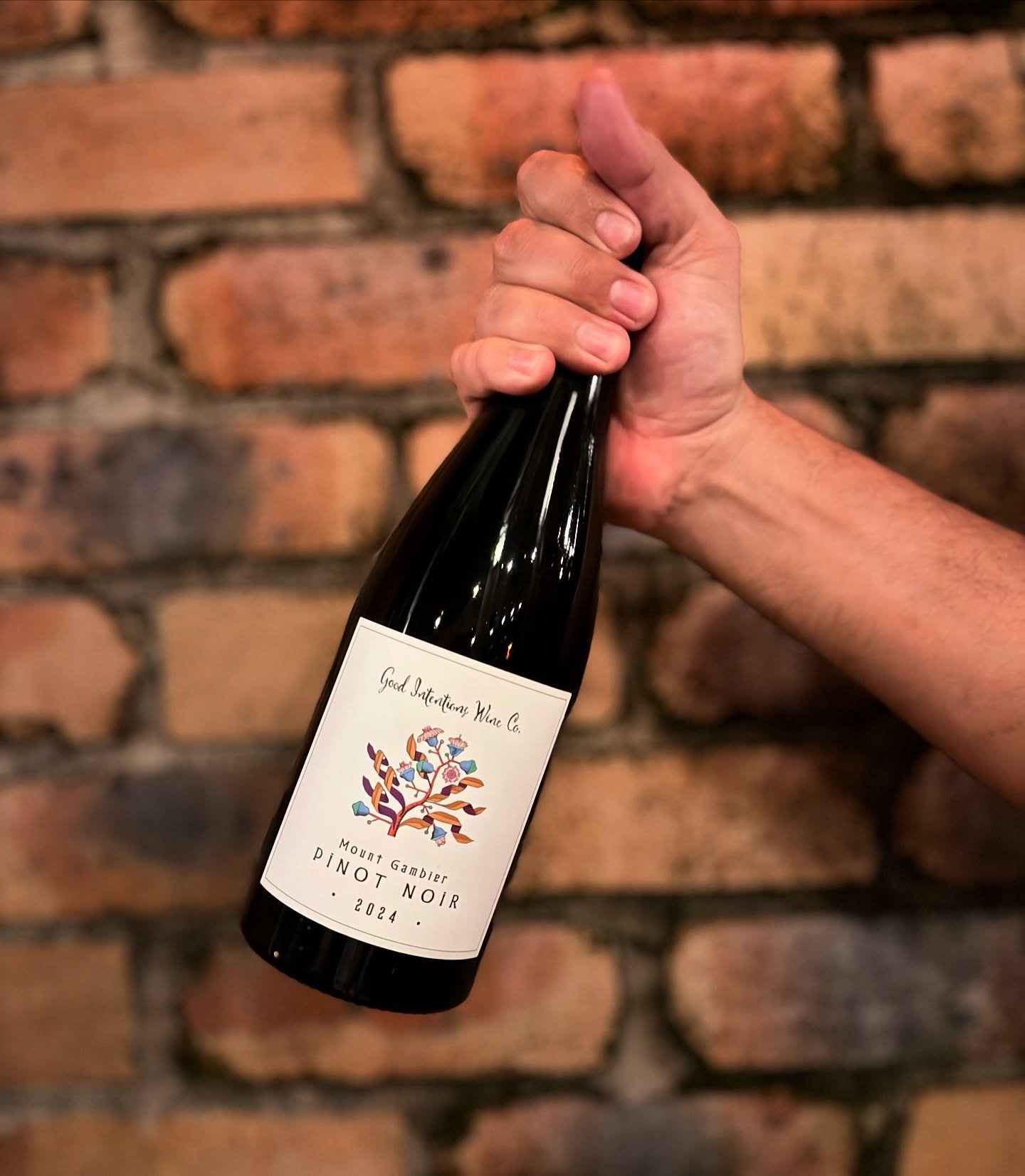 New drop: Mount Gambier Pinot Noir. A super easy-drinking Pinot from three unique vineyards down in Mount Gambier. Grown on volcanic, limestone, and sandy soils, this wine is light, soft, and fruit-forward with those signature Mount Gambier vibes. Th