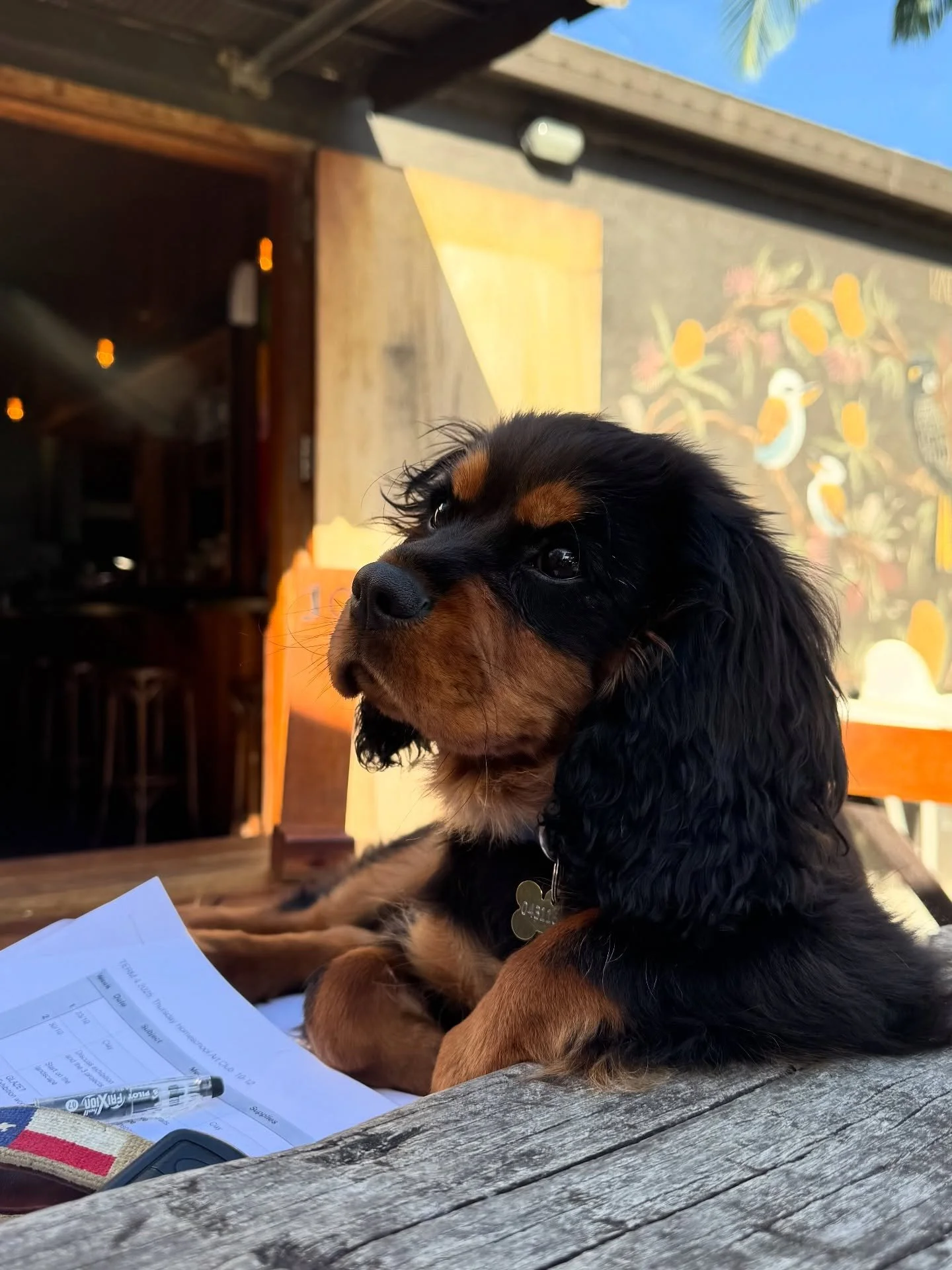 Is there any hope of getting work done with this dreamy distraction? 💛