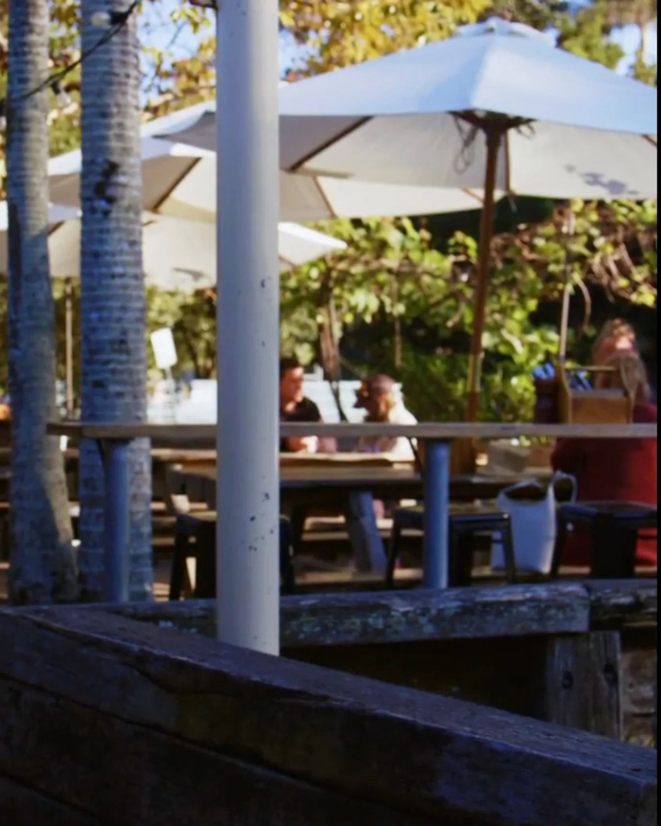 Good morning Byron Bay 💛🌴