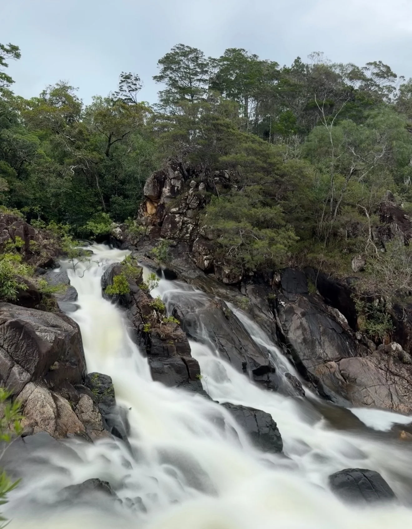 A cascading mountain stream flowing over rocks surrounded by dense green forest.