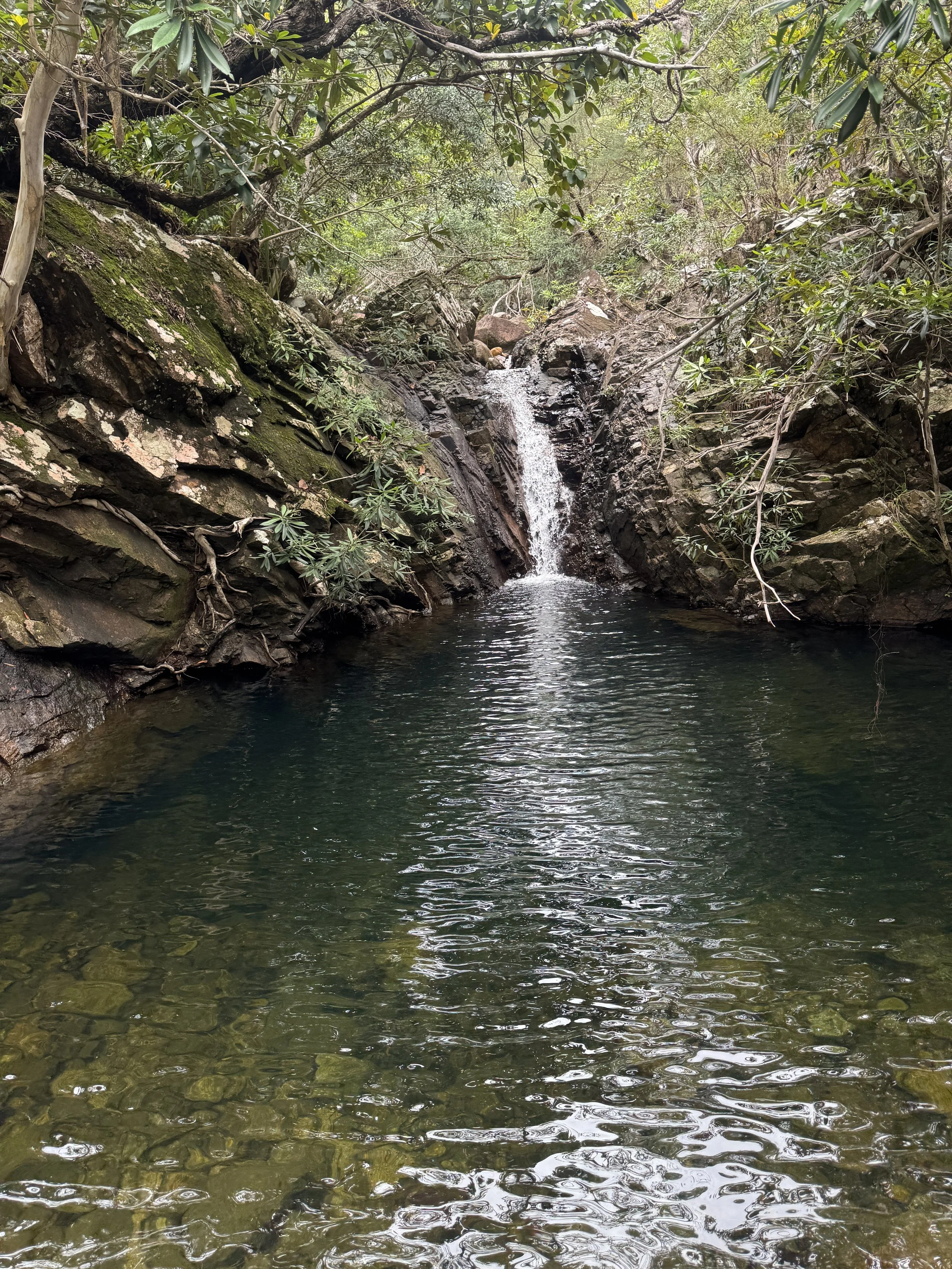 A small waterfall flowing into a dark green pool surrounded by rocks and lush trees.