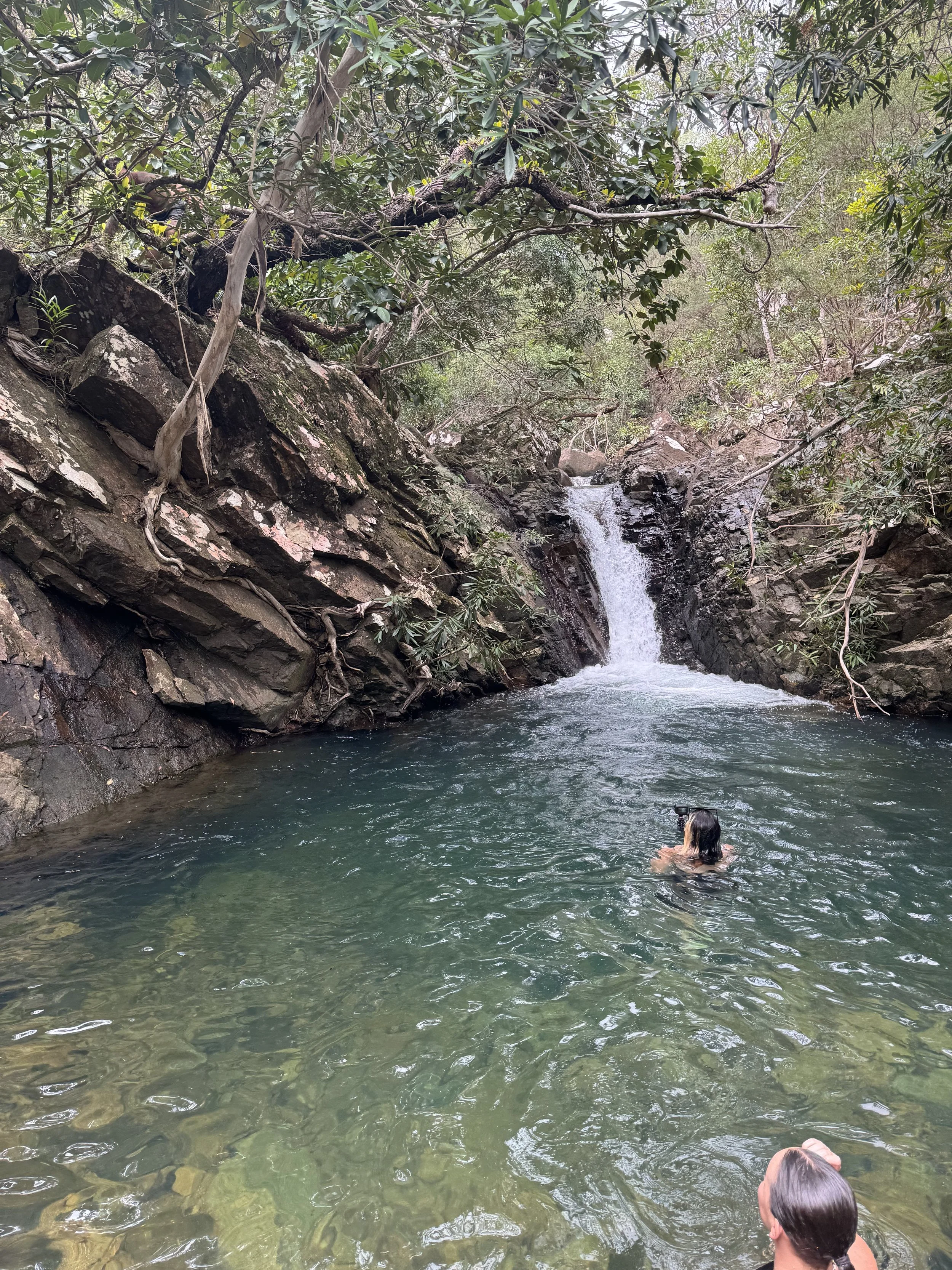 Two people swimming in a natural pool with a small waterfall surrounded by rocks and dense green trees.