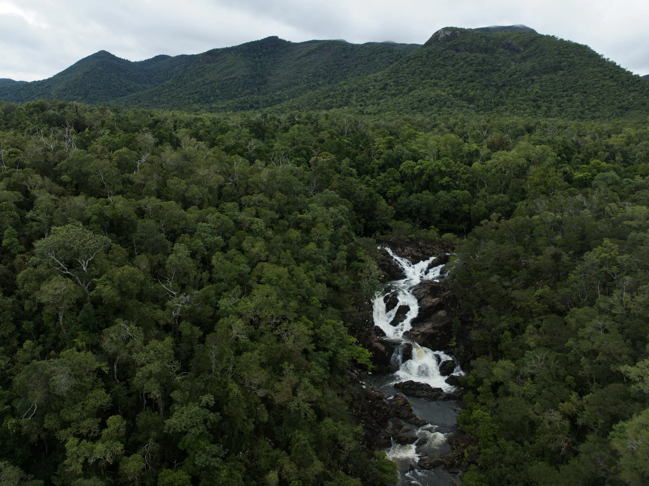 Aerial view of a lush green rainforest with a small waterfall flowing through the trees, set against distant mountains and a cloudy sky.